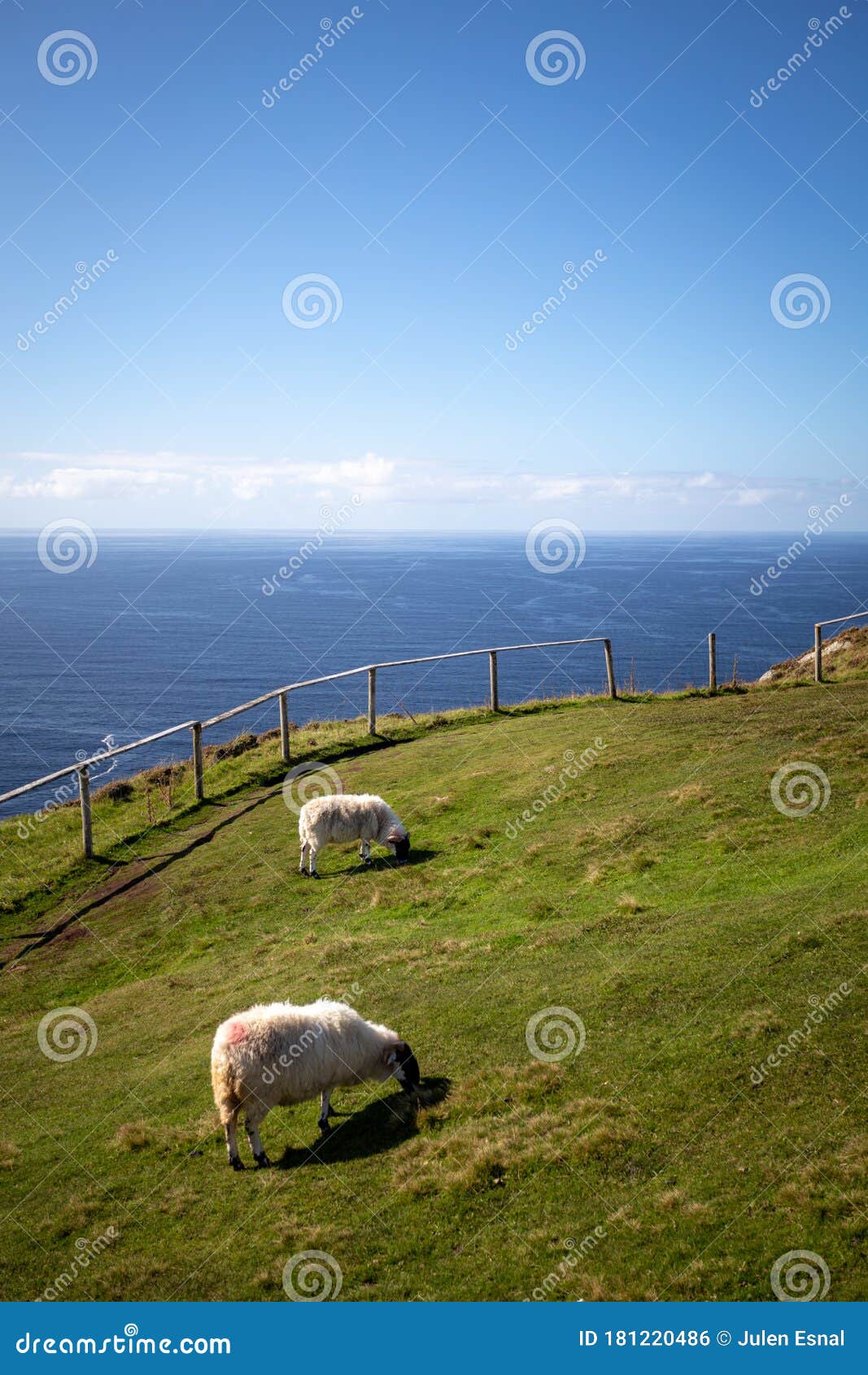2 ovejas pastan en un acantilado irlandes