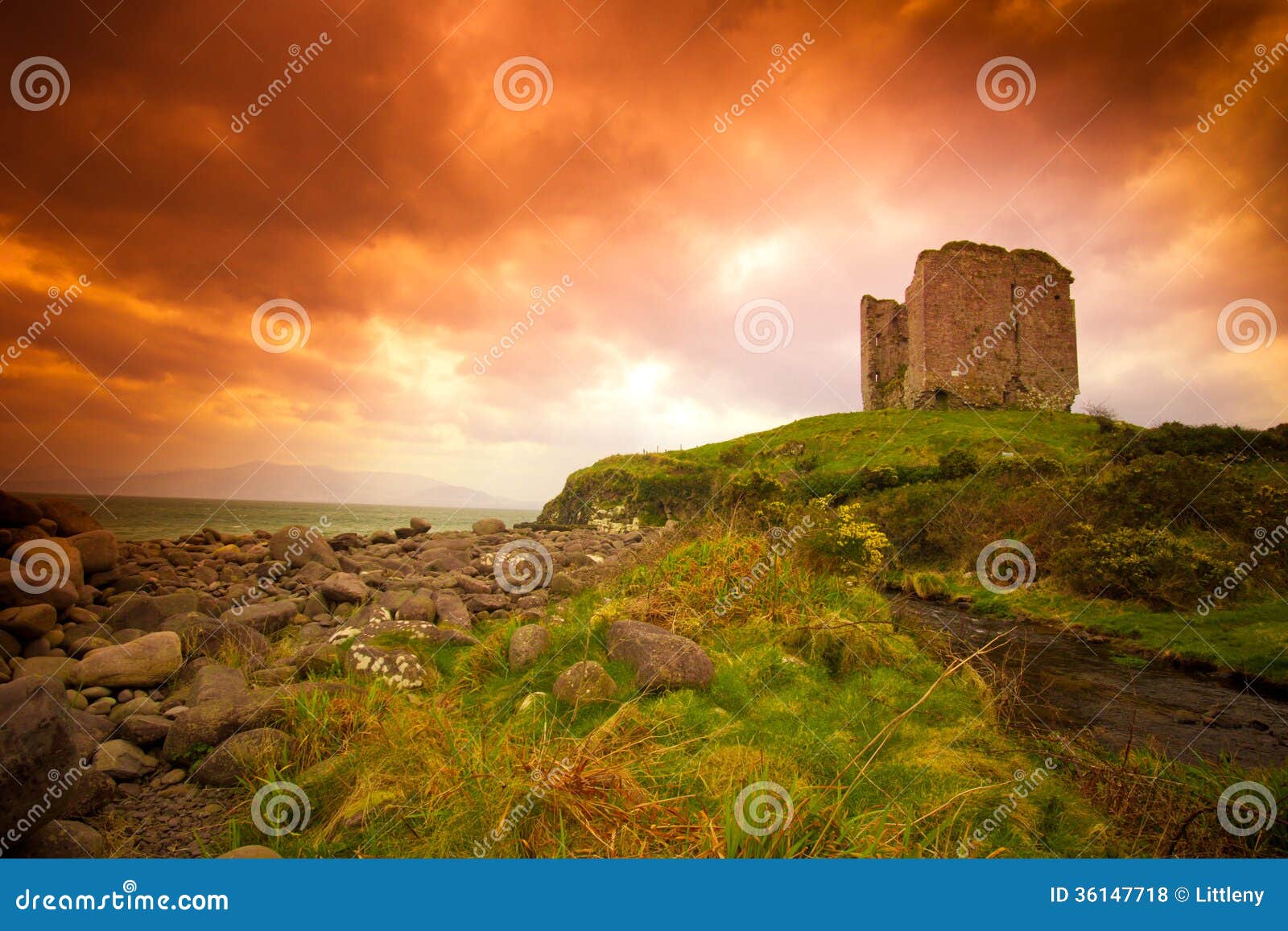 Irländsk slott. Övergiven medeltida slott på Irland Dinglekust under dramatisk solnedgång