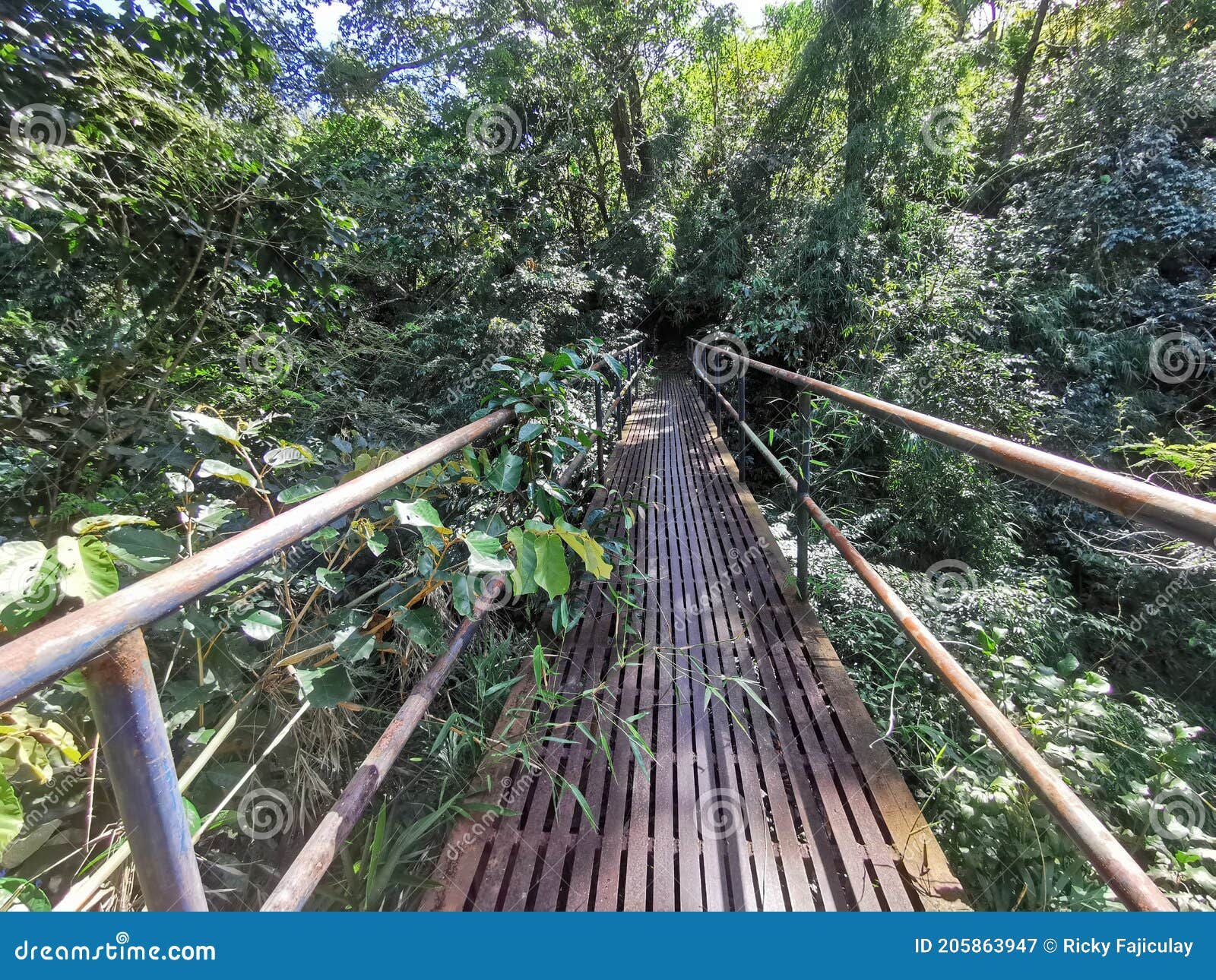 Iron bridge throunh grass stock image. Image of iron 205863947