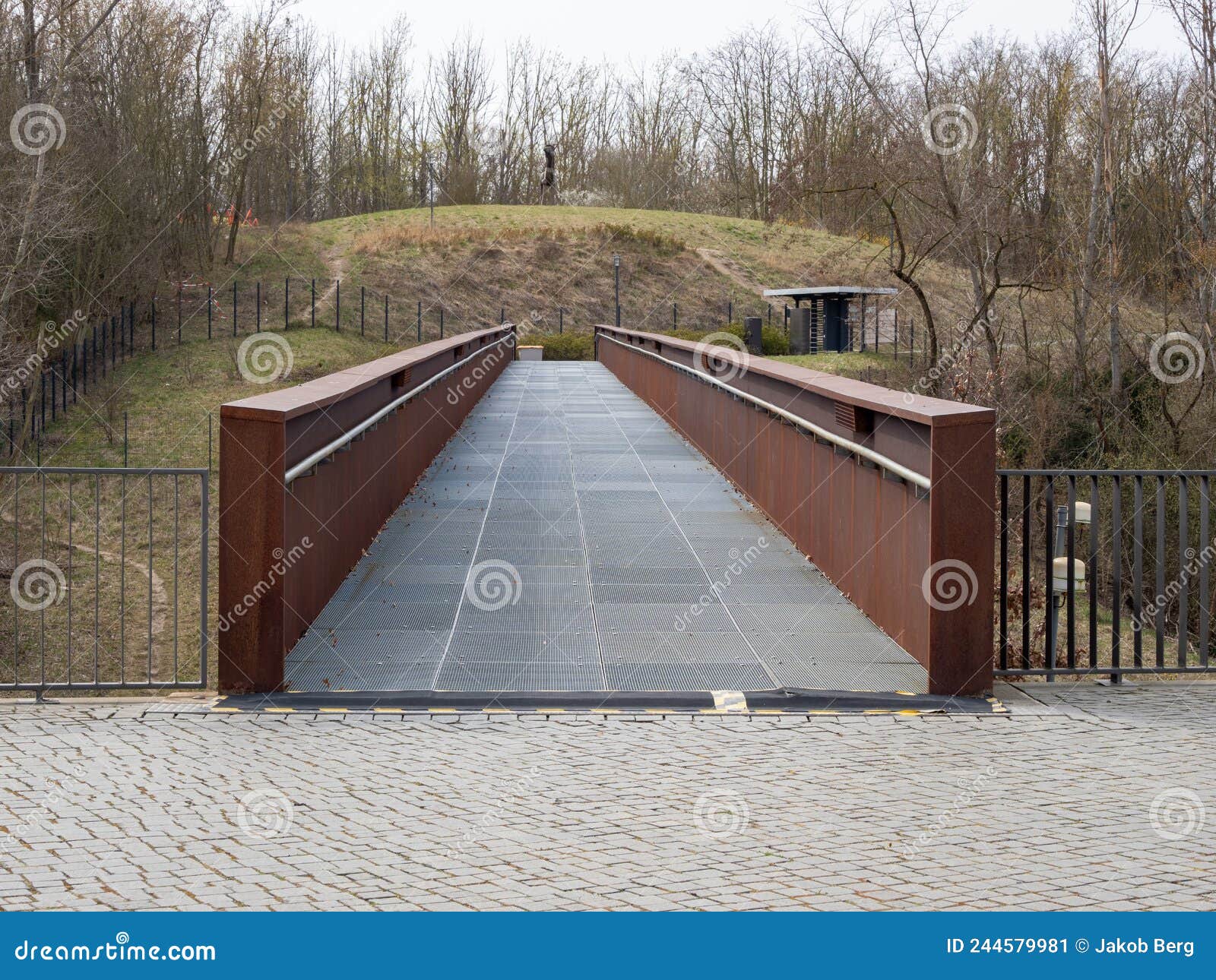 Iron Bridge in the Park. Close Up. Stock Image Image of arch, structure 244579981