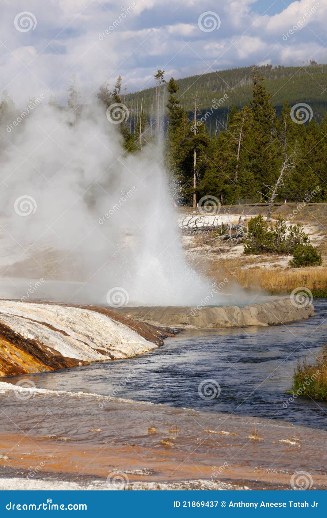 Iron Creek at Black Sand Basin and Geyser Stock Image Image of geyser