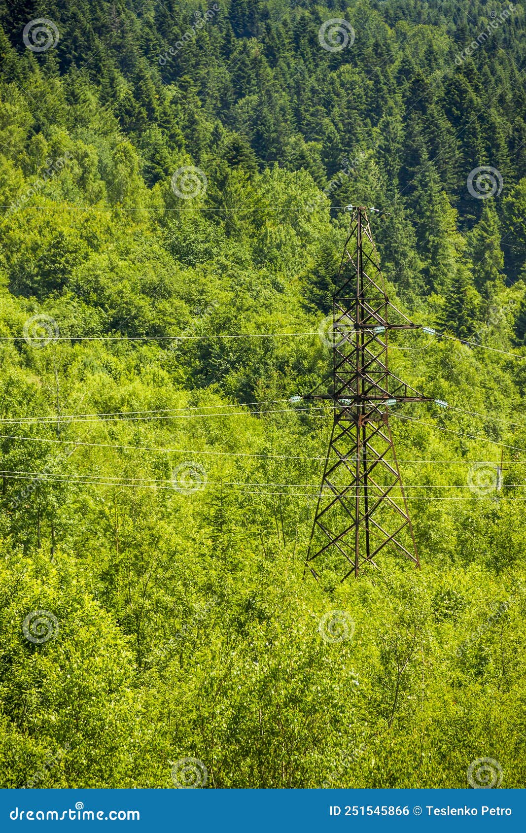 Iron Electric Pole in the Forest Stock Photo Image of cable, street