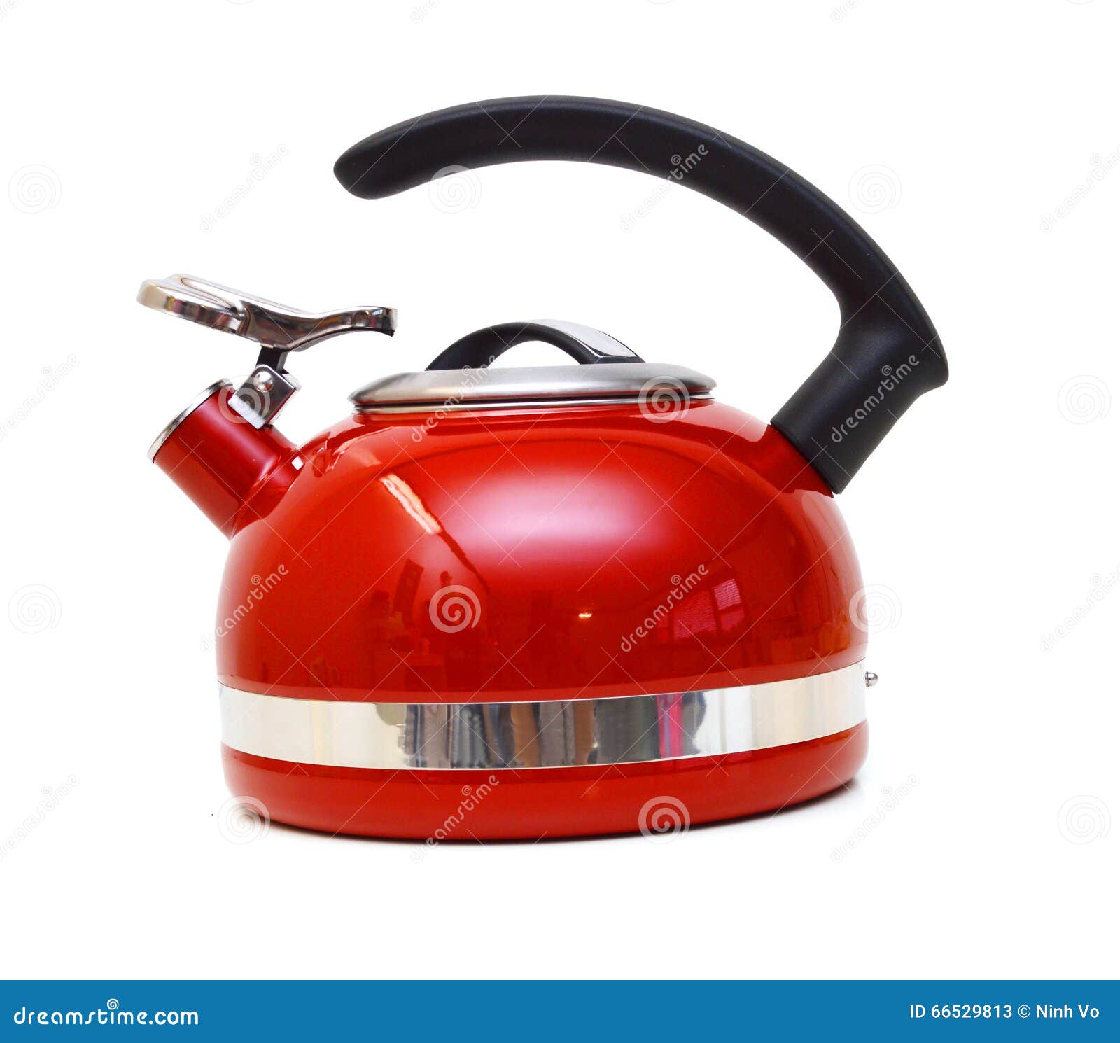 Iron Kettle Kitchen stock image. Image of luxury, plant 66529813