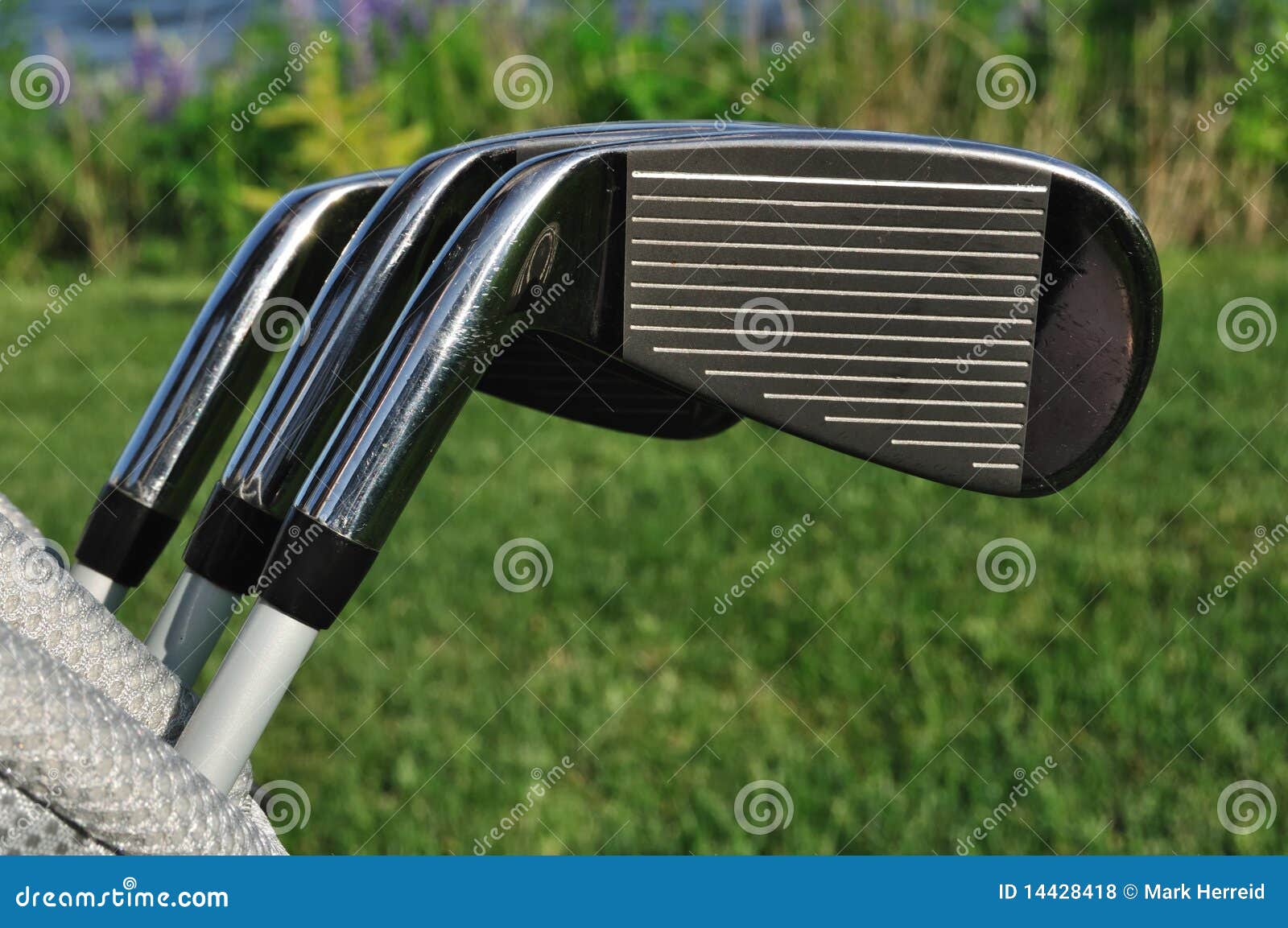 Irons in a Golf Bag stock photo. Image of close, irons 14428418
