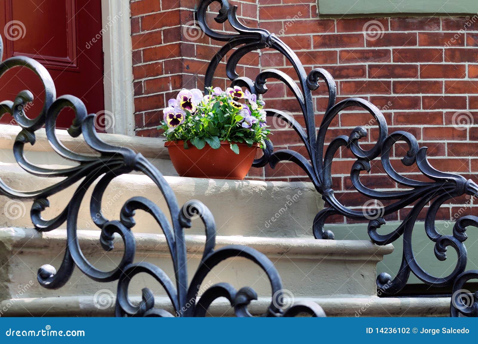 Ironwork, Victorian Style, and Flower Pot on Steps Stock Photo Image