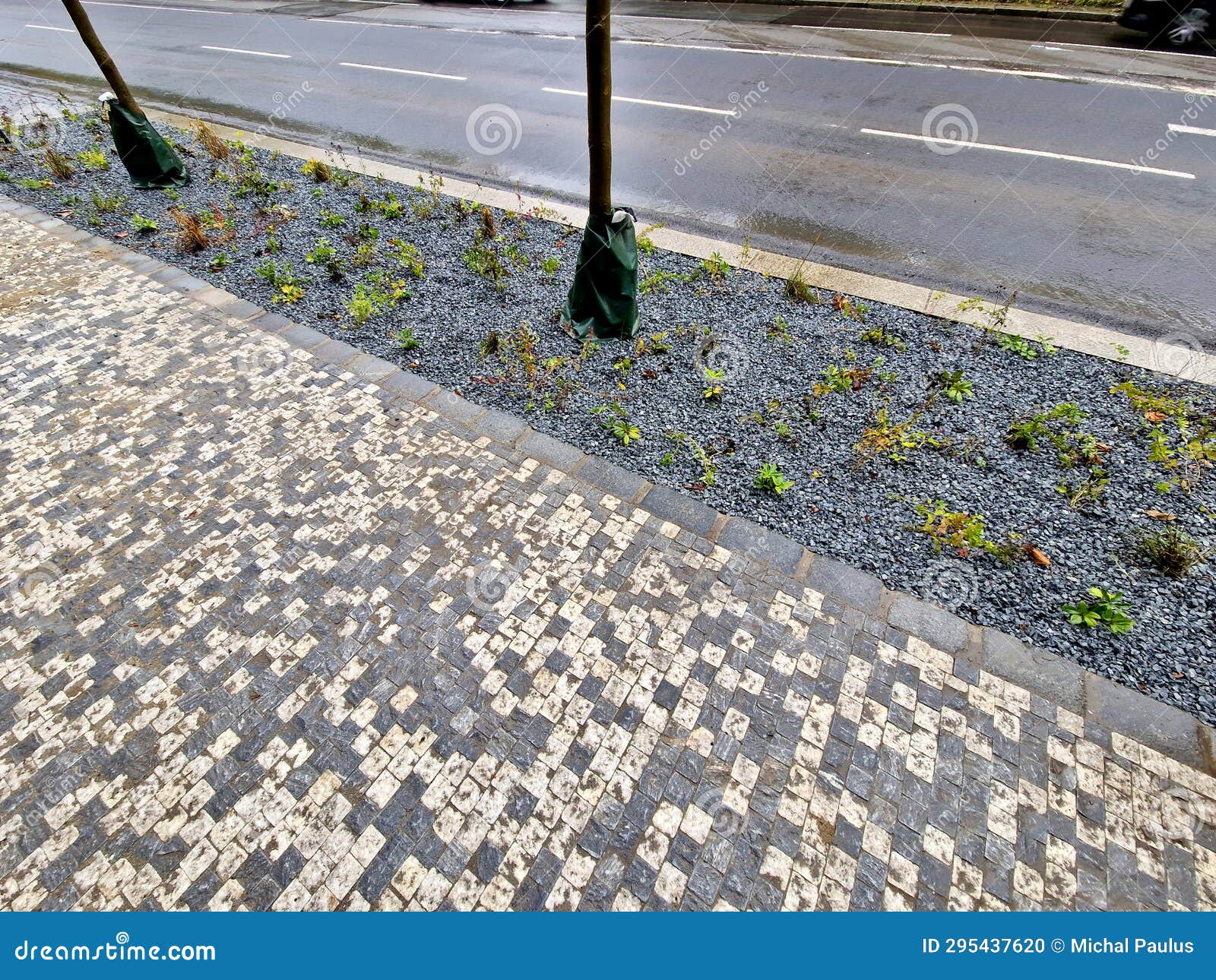 Irrigated Plastic Bags Around the Trees Save Water and Regularly Dose