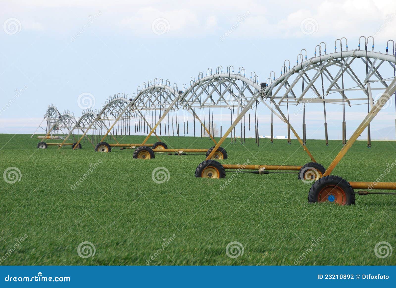 Irrigation stock photo. Image of watering, growing, field 23210892