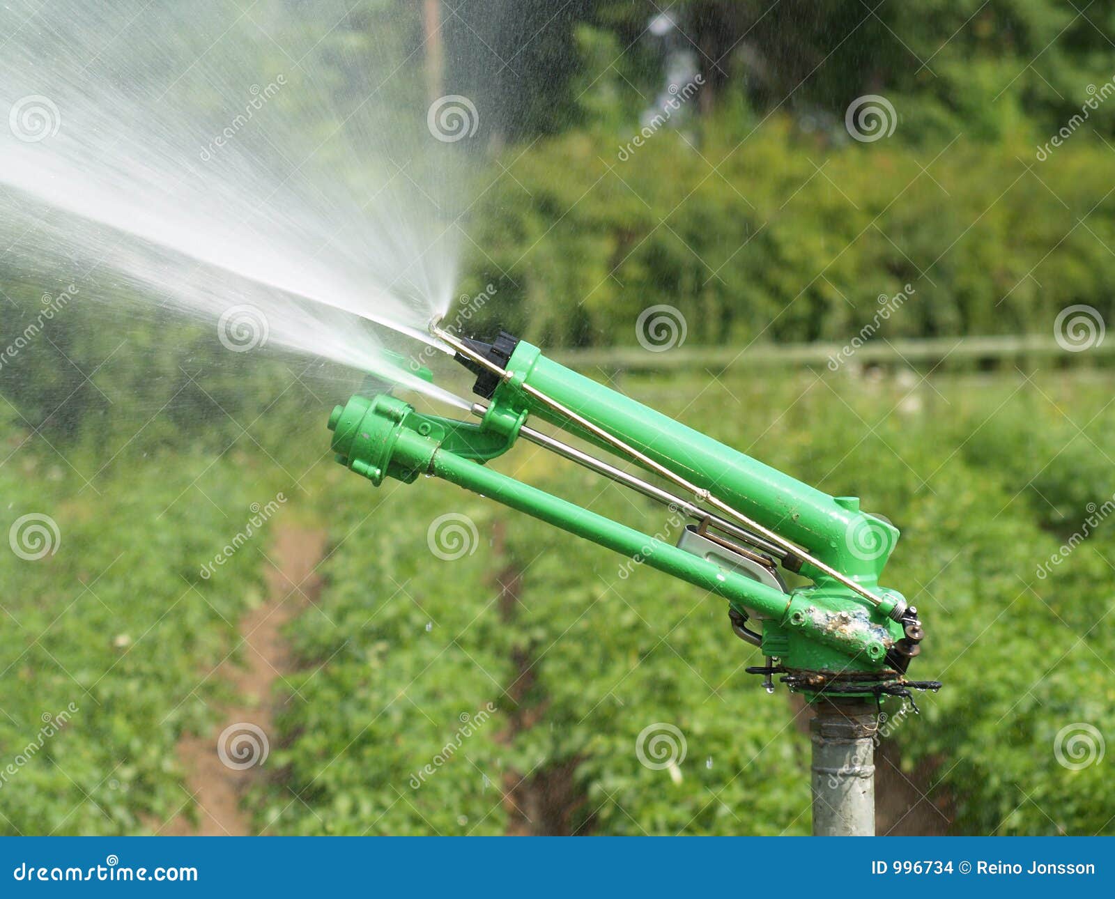 irrigation