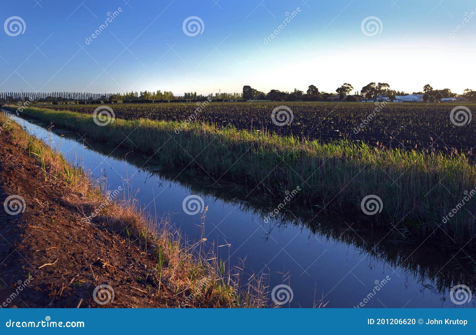 irrigation channels surround asparagus crops in south eastern victoria.