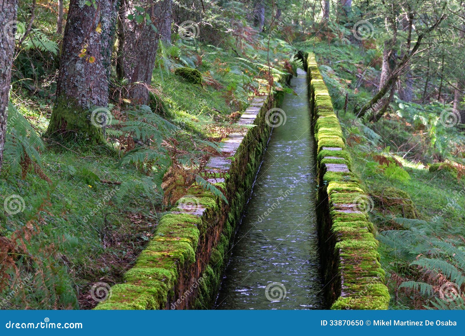 irrigation ditch for water channeling