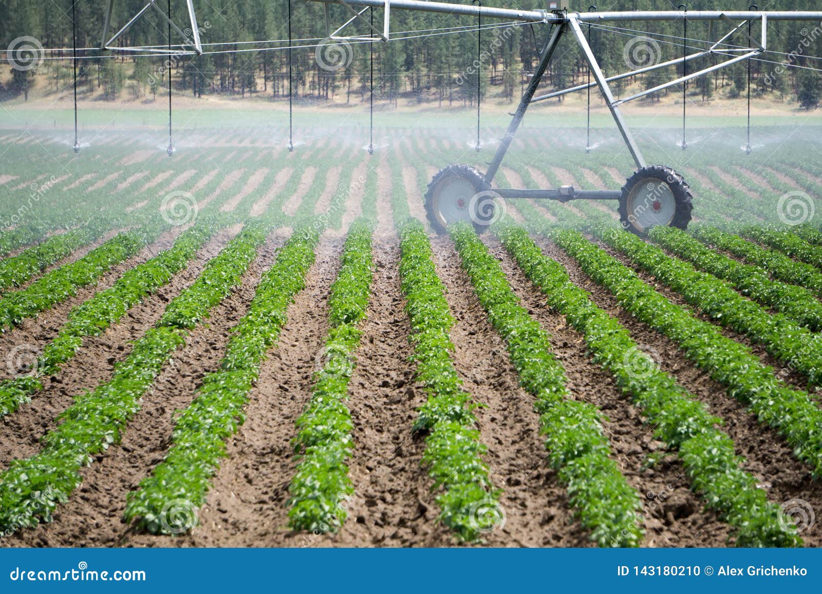Irrigation Equipment on Farm Field on Sunny Day Stock Photo Image of