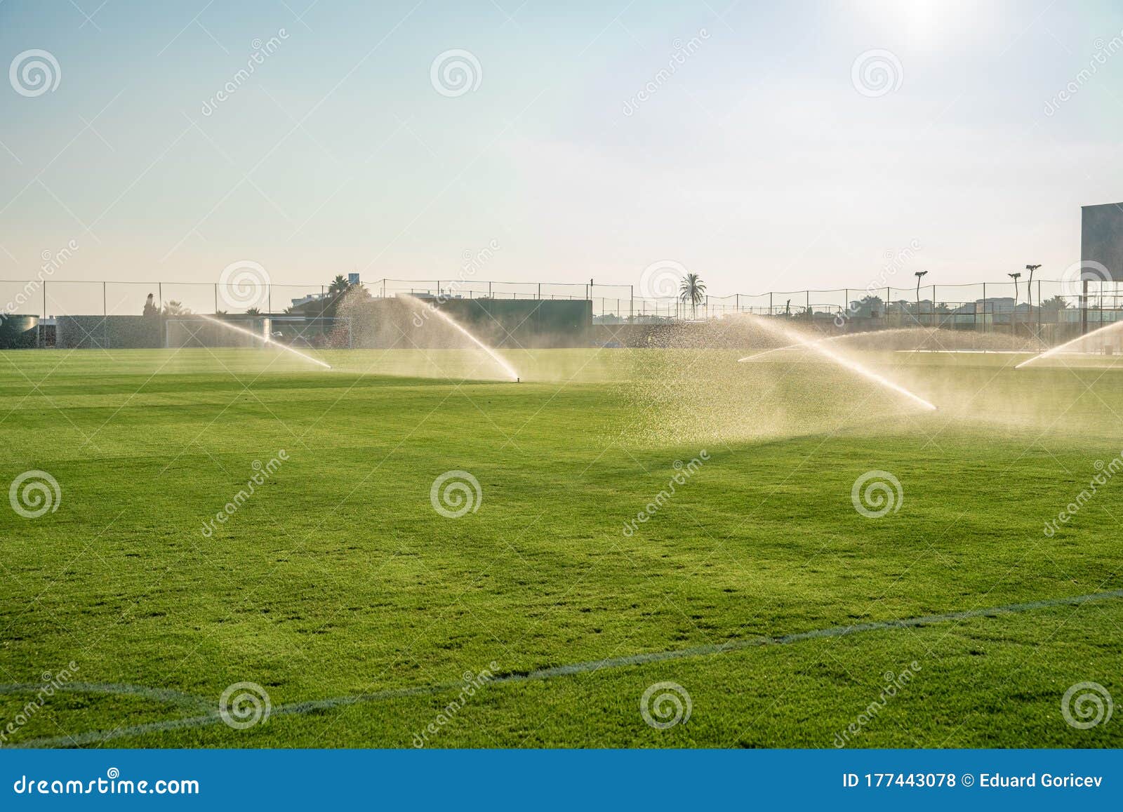 Irrigation of the Football Field before the Game Stock Photo Image of