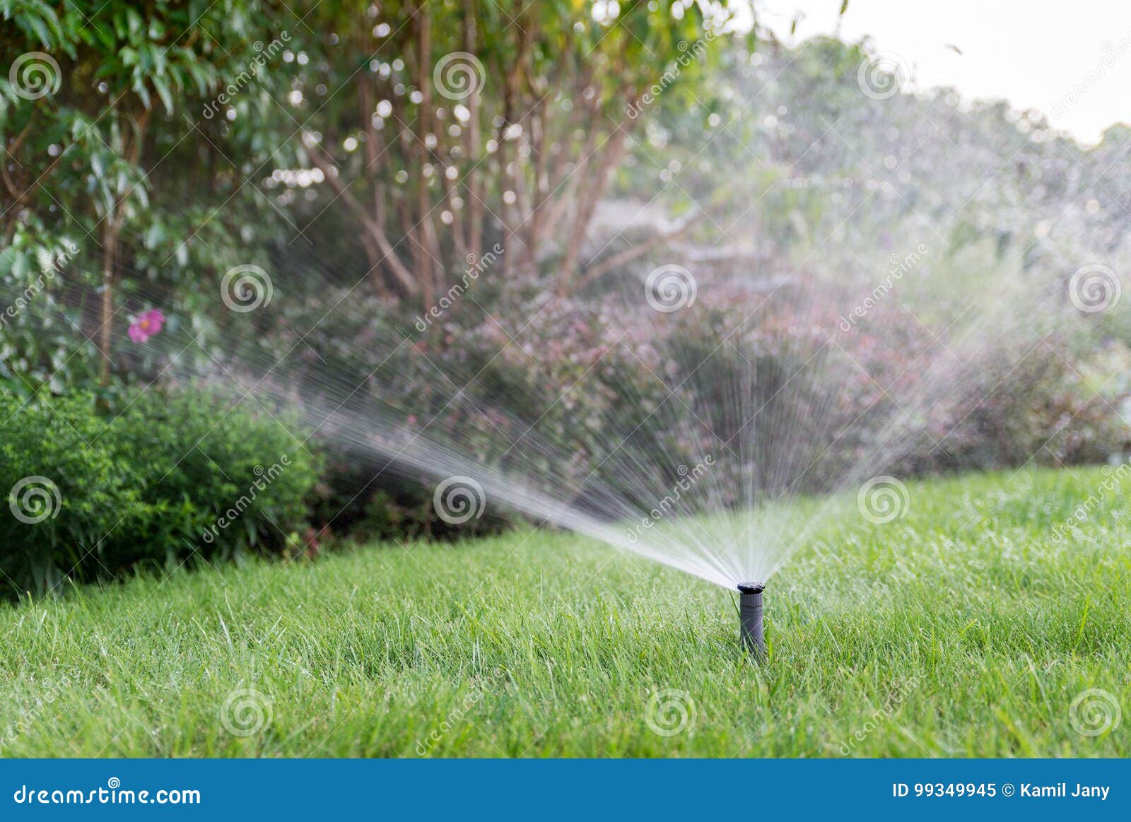 Irrigation Of The Garden With Sprinkler System Stock Image