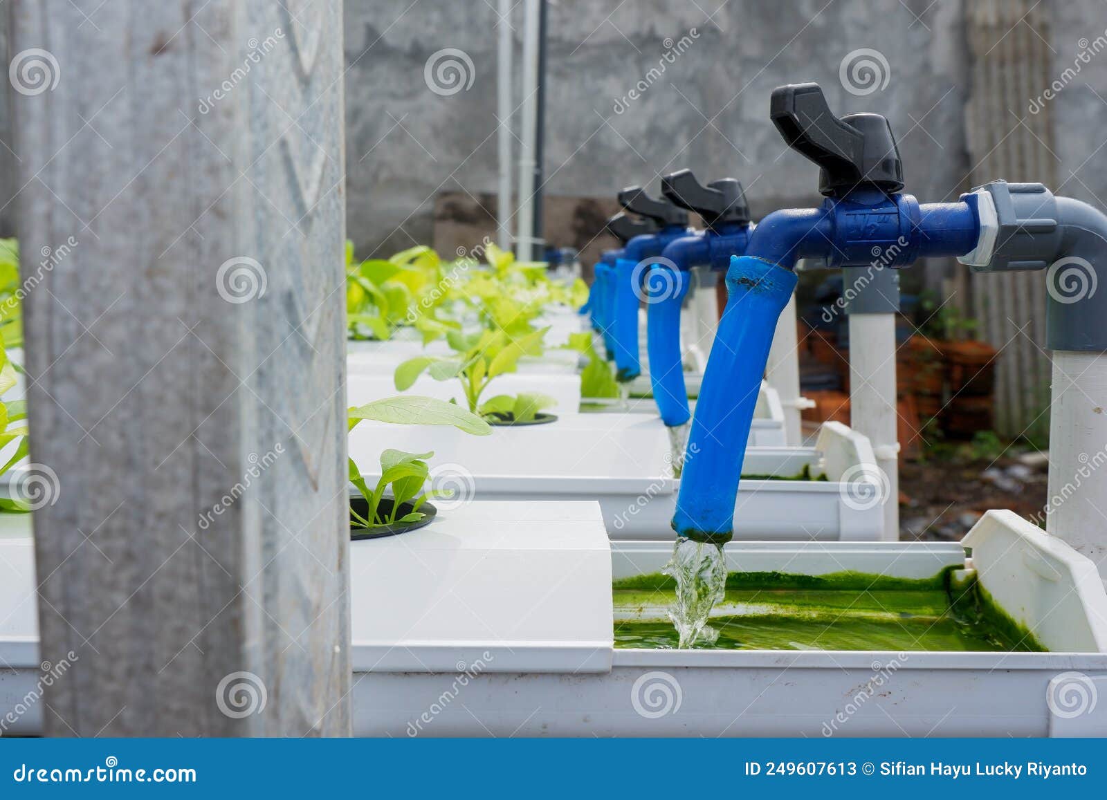 Hydroponic Irrigation System Stock Image Image of farm, industry