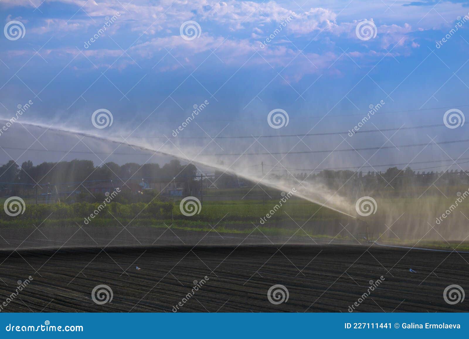 irrigation plant irrigates fields in summer