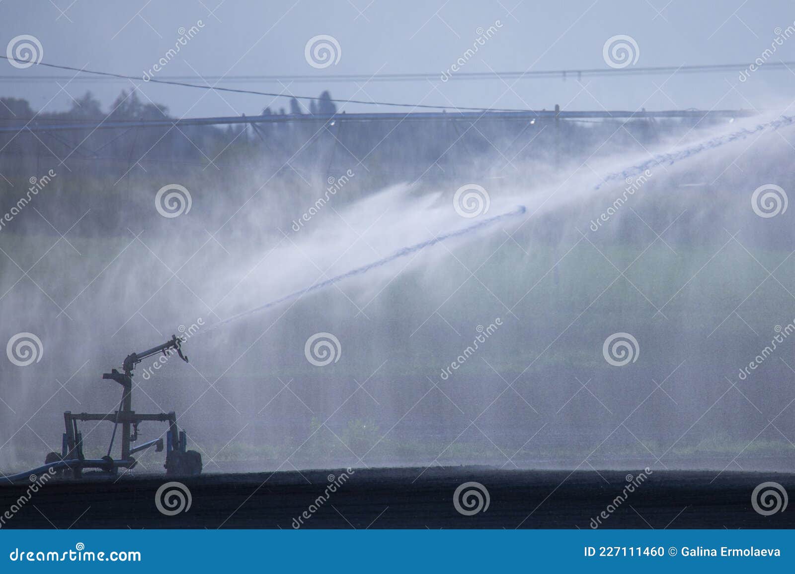 irrigation plant irrigates fields in summer