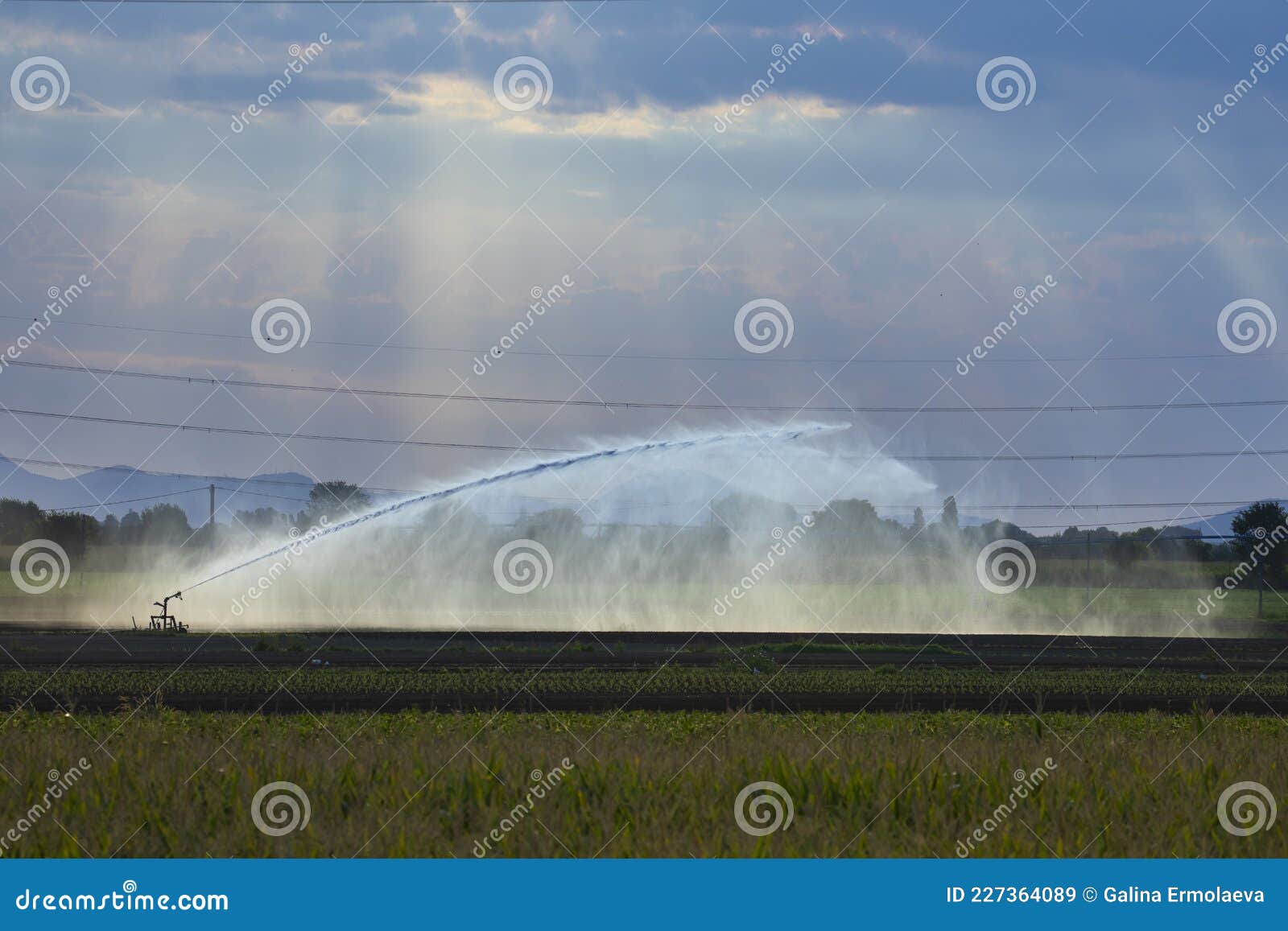 irrigation plant irrigates fields in summer