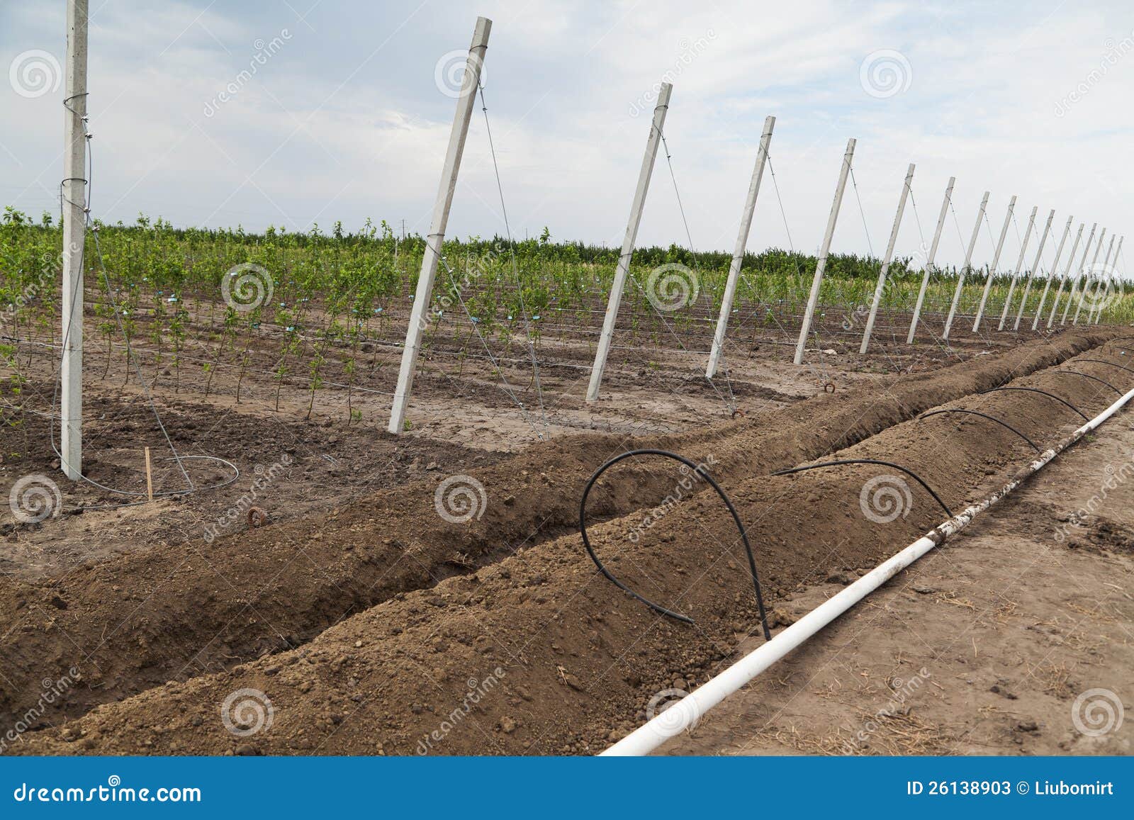 Irrigation System Construction Stock Image Image of agricultural, system 26138903
