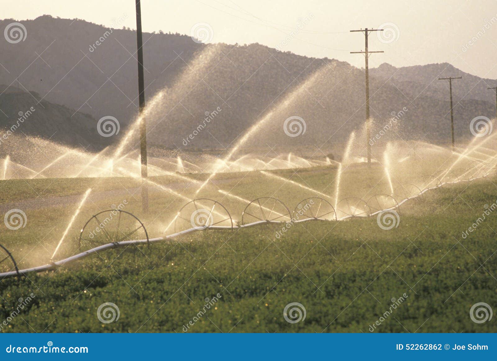 irrigation system in the san joaquin valley, ca