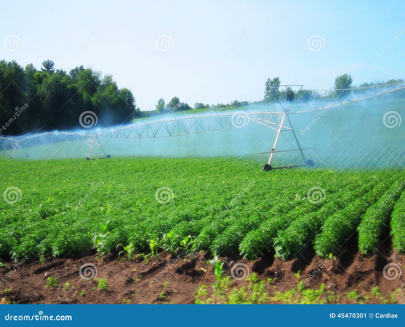 irrigation system watering crops farmland farm field industrial