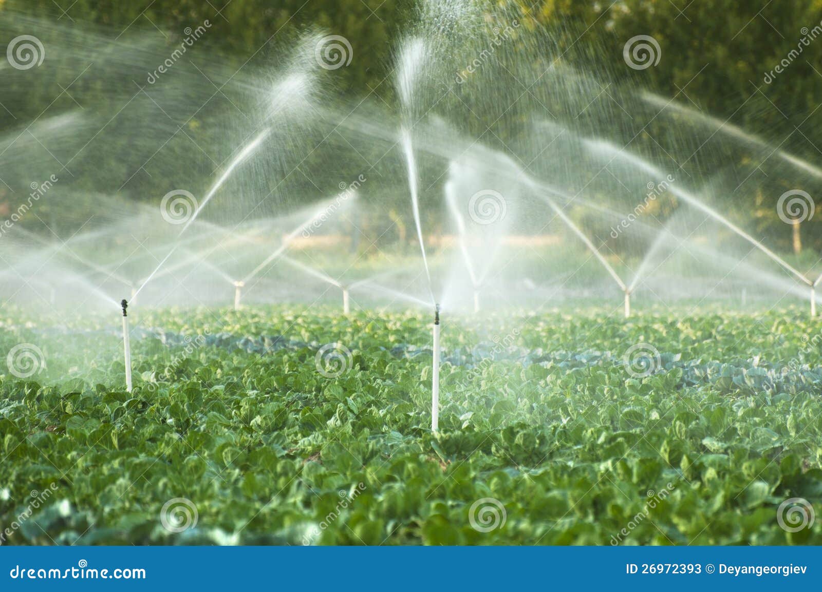 Garden Irrigation Systems Design Gazebodesign