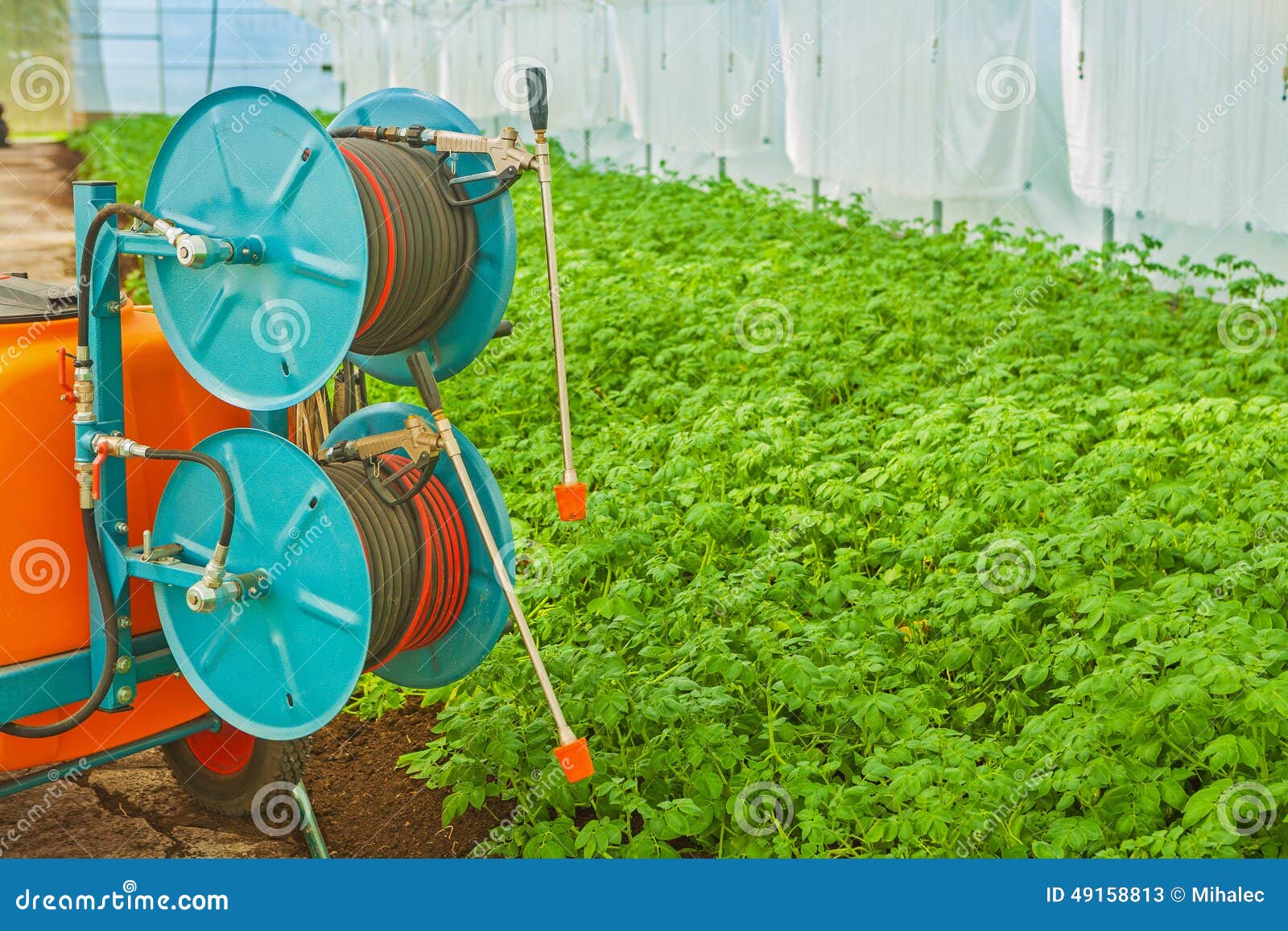 The Irrigation Tool in Modern Greenhouse Close Up Stock Image Image