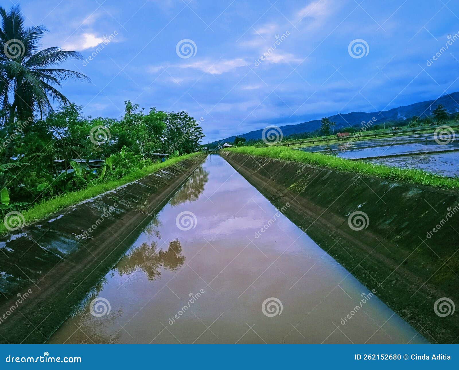 Irrigation Water Canals that Will Irrigate the Paddy Fields Stock Photo