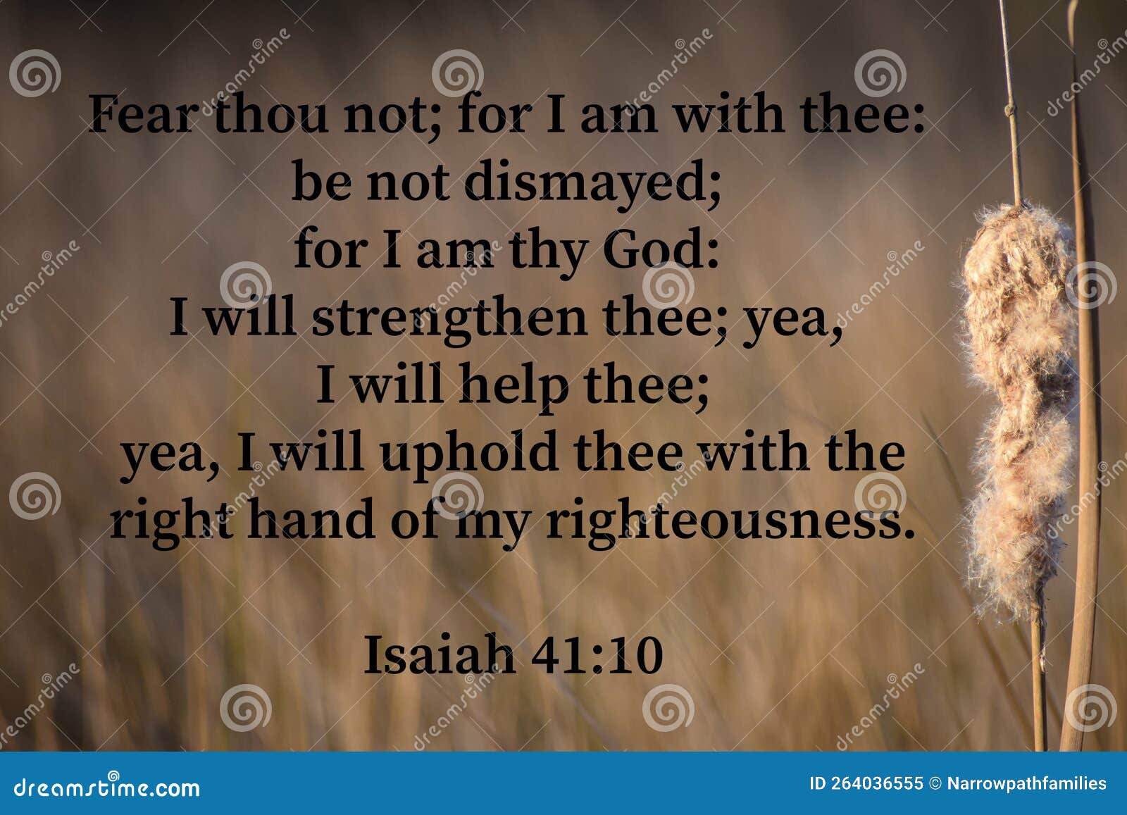 Isaiah 41 10 Bible Verse Stock Image Image Of Bible 264036555 isaiah-41-10-bible-verse-stock-image-image-of-bible-264036555
