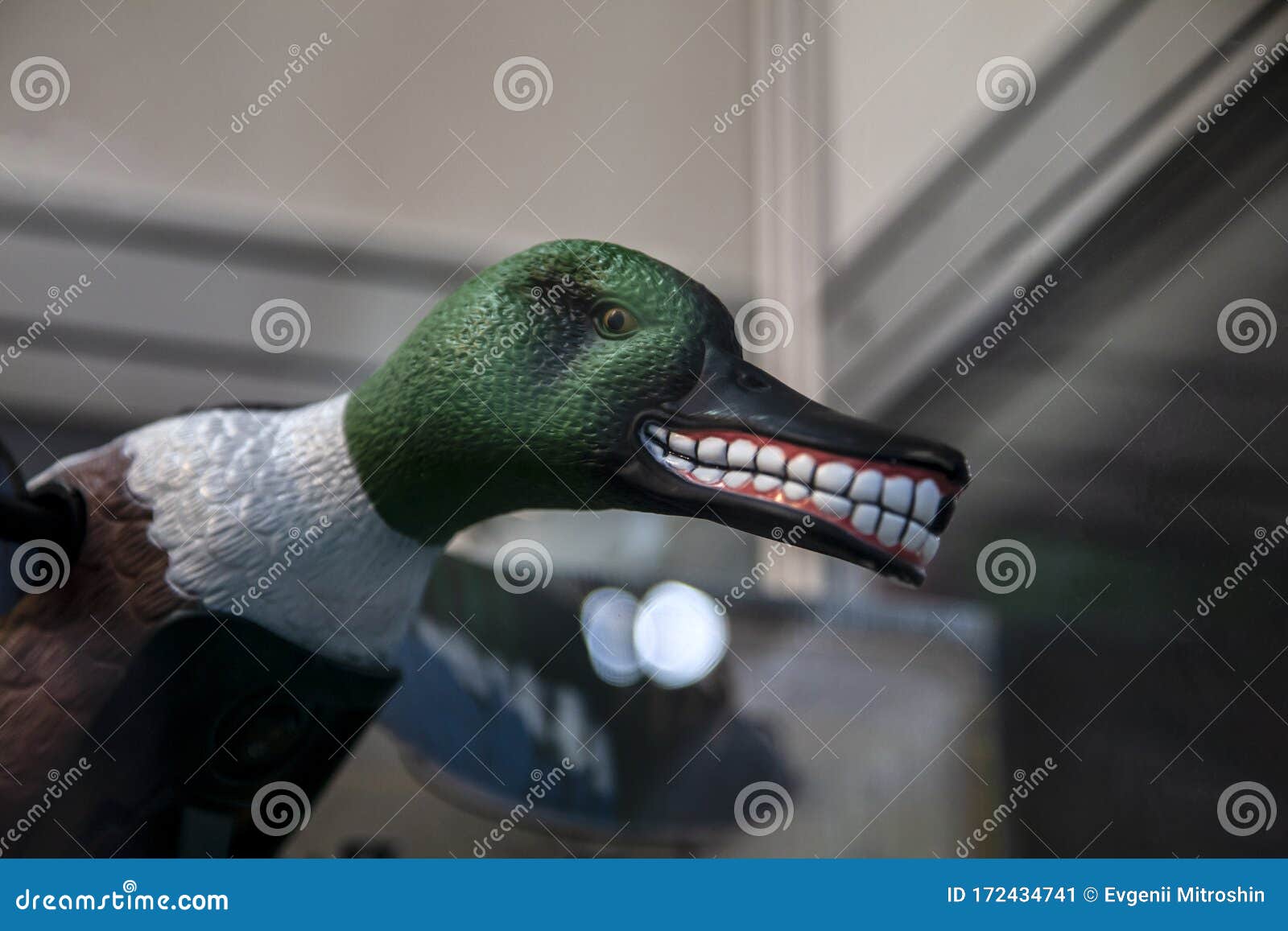 Isca Para Dreno De Caça De Patos Com Boca Grande E Dentes Tortos Imagem de  Stock - Imagem de pena, pintura: 172434741, image size:1600x1157