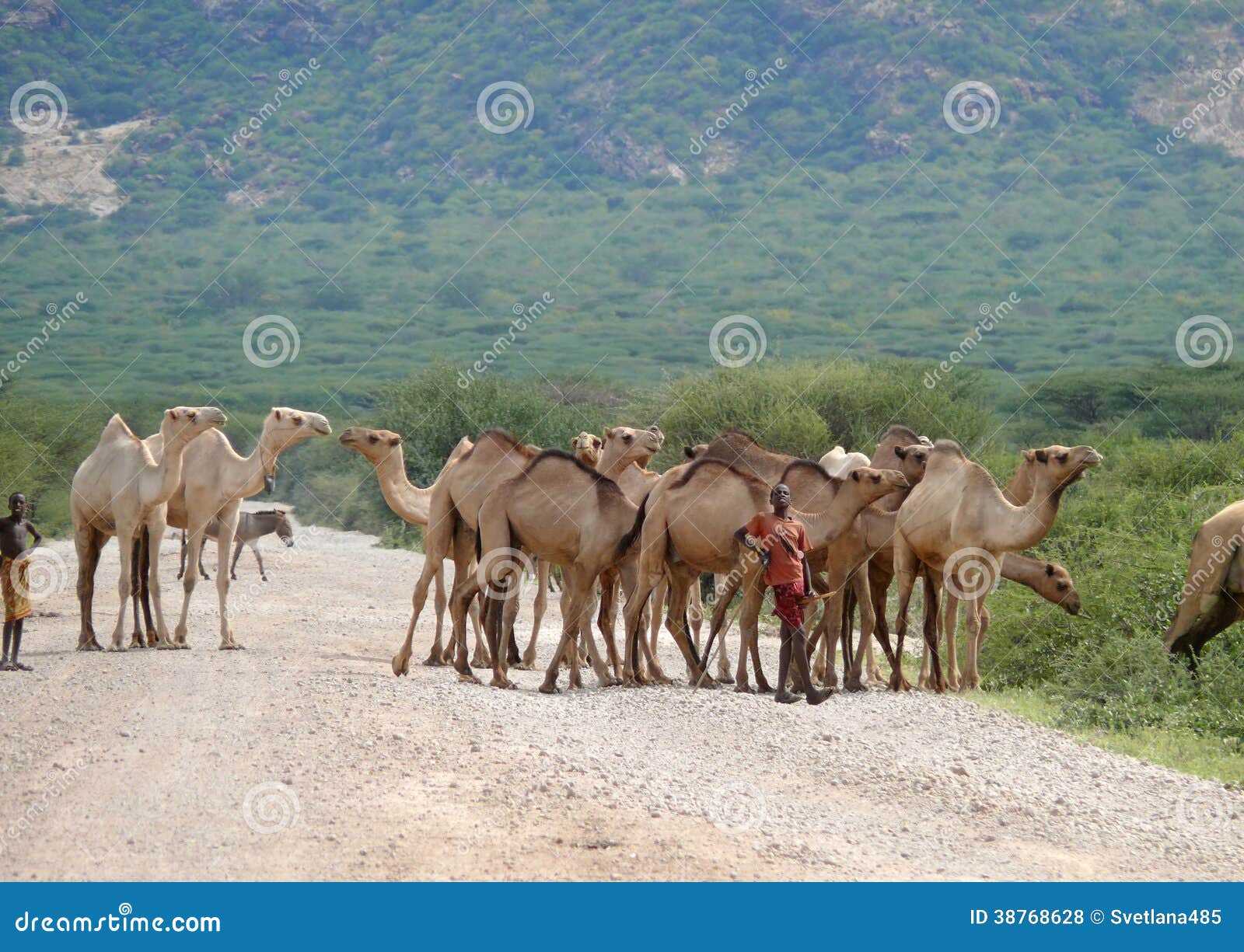 Isiolo, Kenya fotografia stock editoriale. Immagine di cielo 38768628