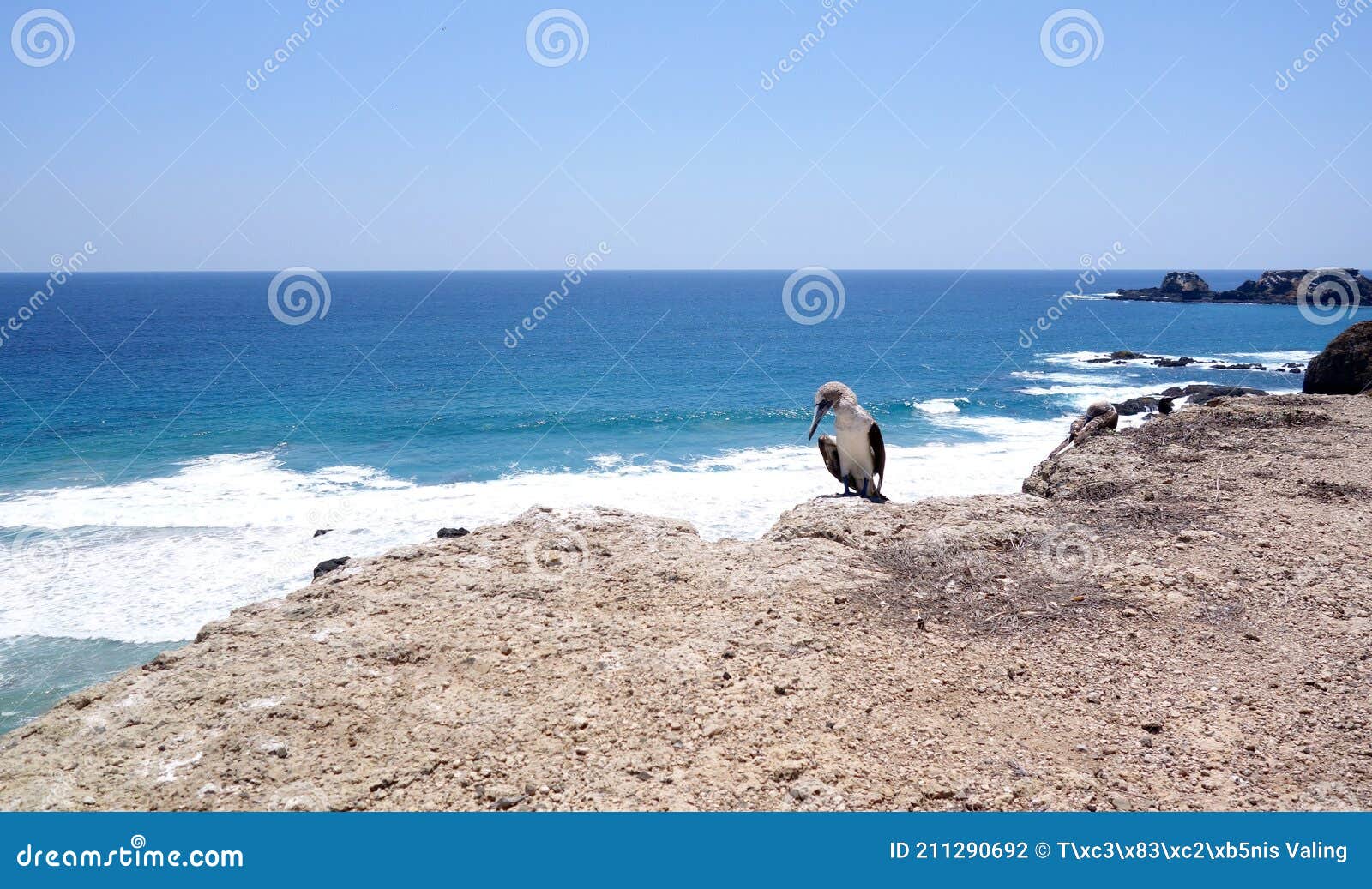 isla de la plata coastal line in ecuador