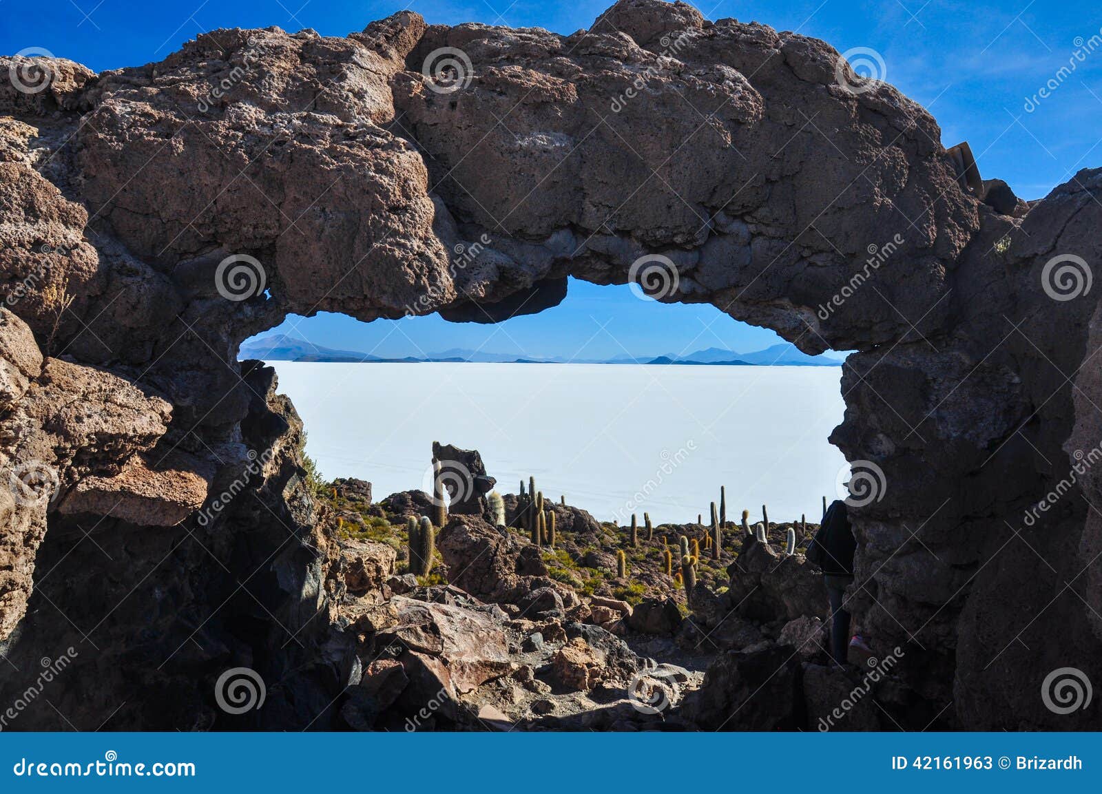 isla incahuasi (pescadores), salar de uyuni, bolivia