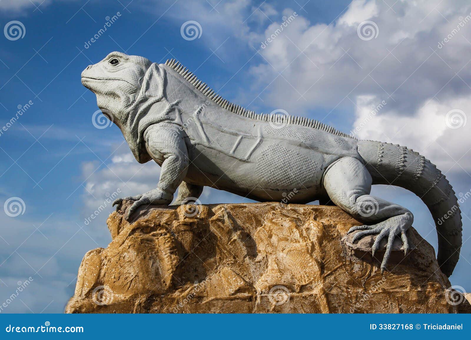 isla mujeres iguana