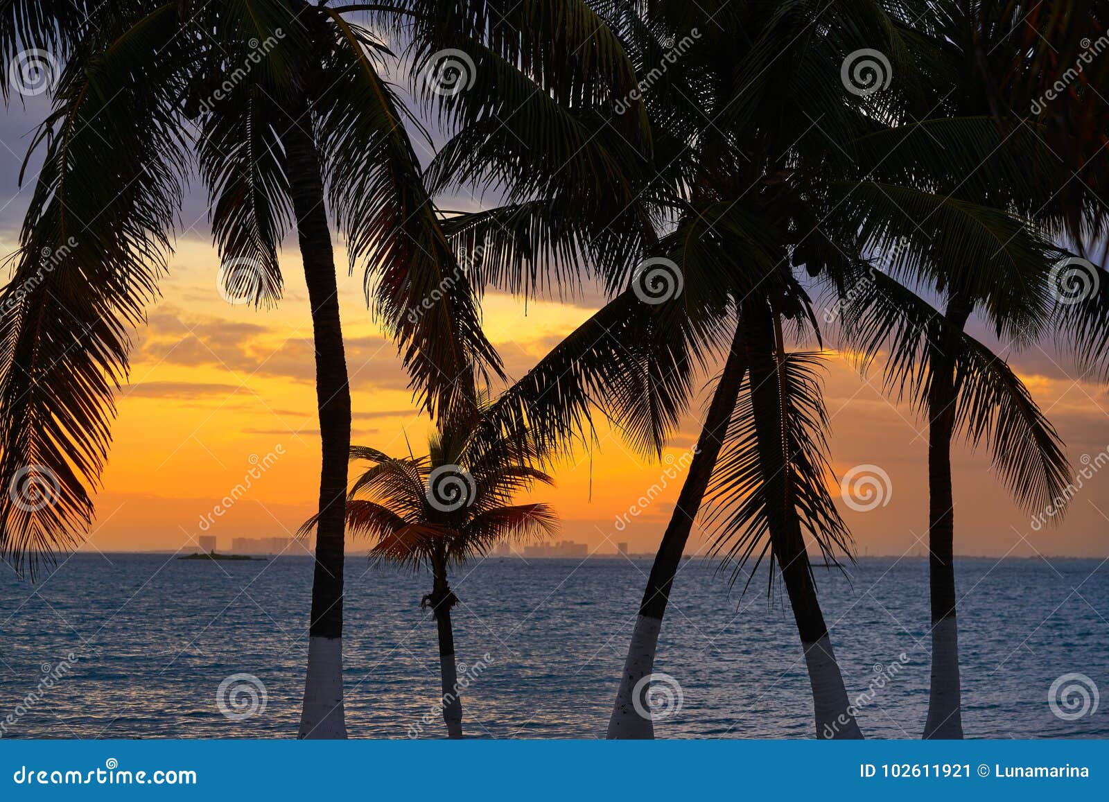 isla mujeres island caribbean beach sunset