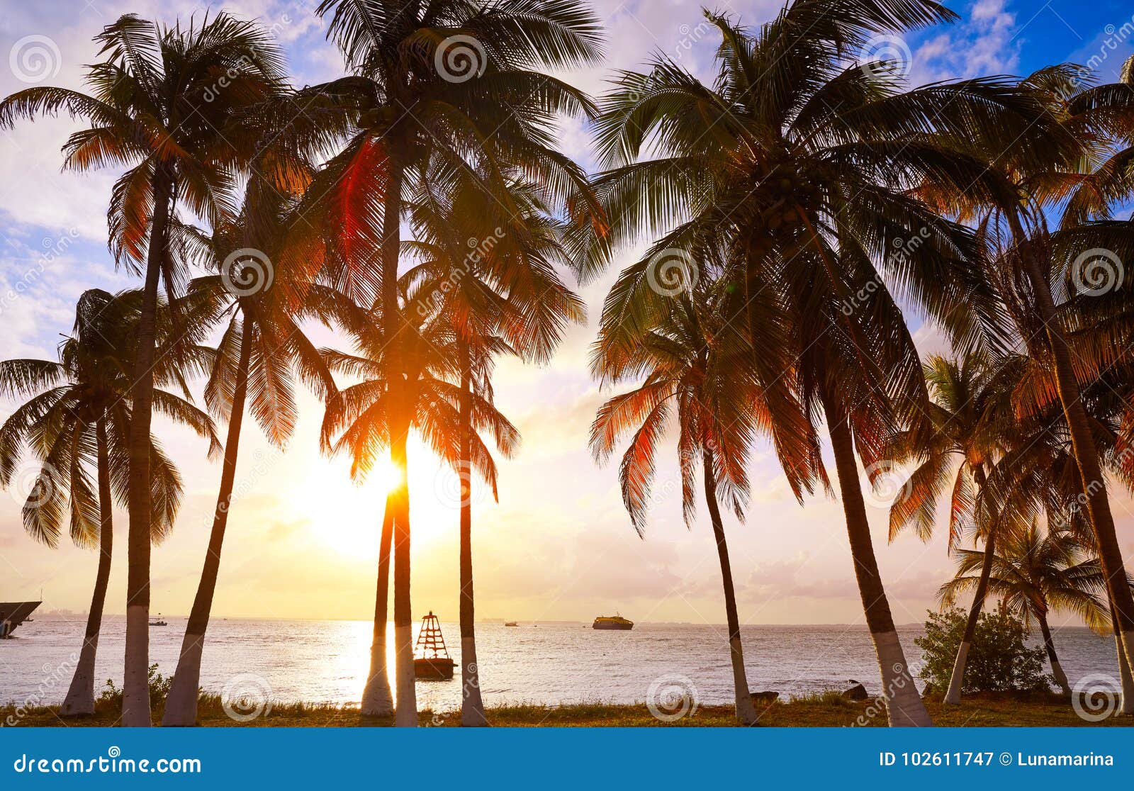 isla mujeres island caribbean beach sunset