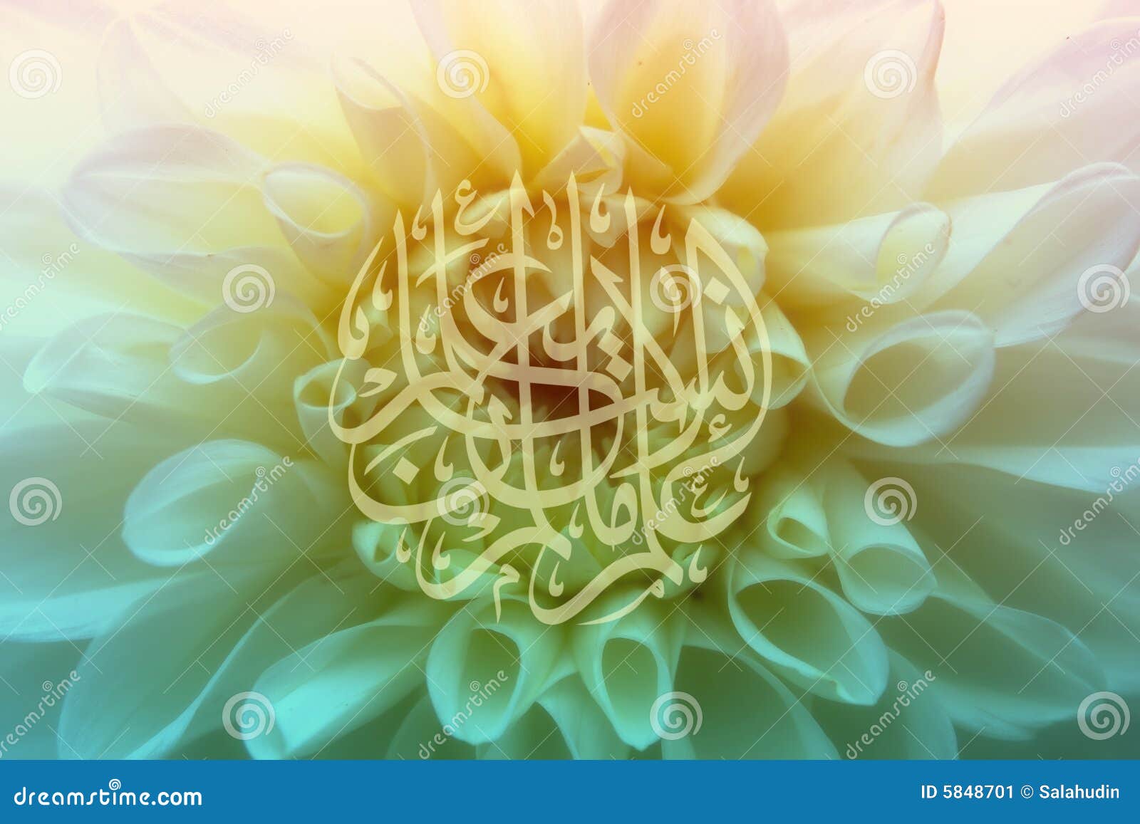 Islamitische Kalligrafie Op Bloem Stock Afbeelding Image of godsdienst, versiering 5848701