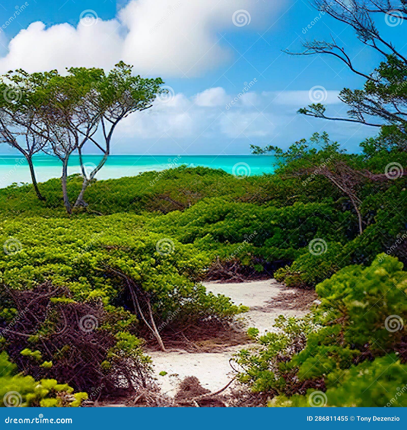 Island of Eleuthera stock illustration. Illustration of leaf 286811455