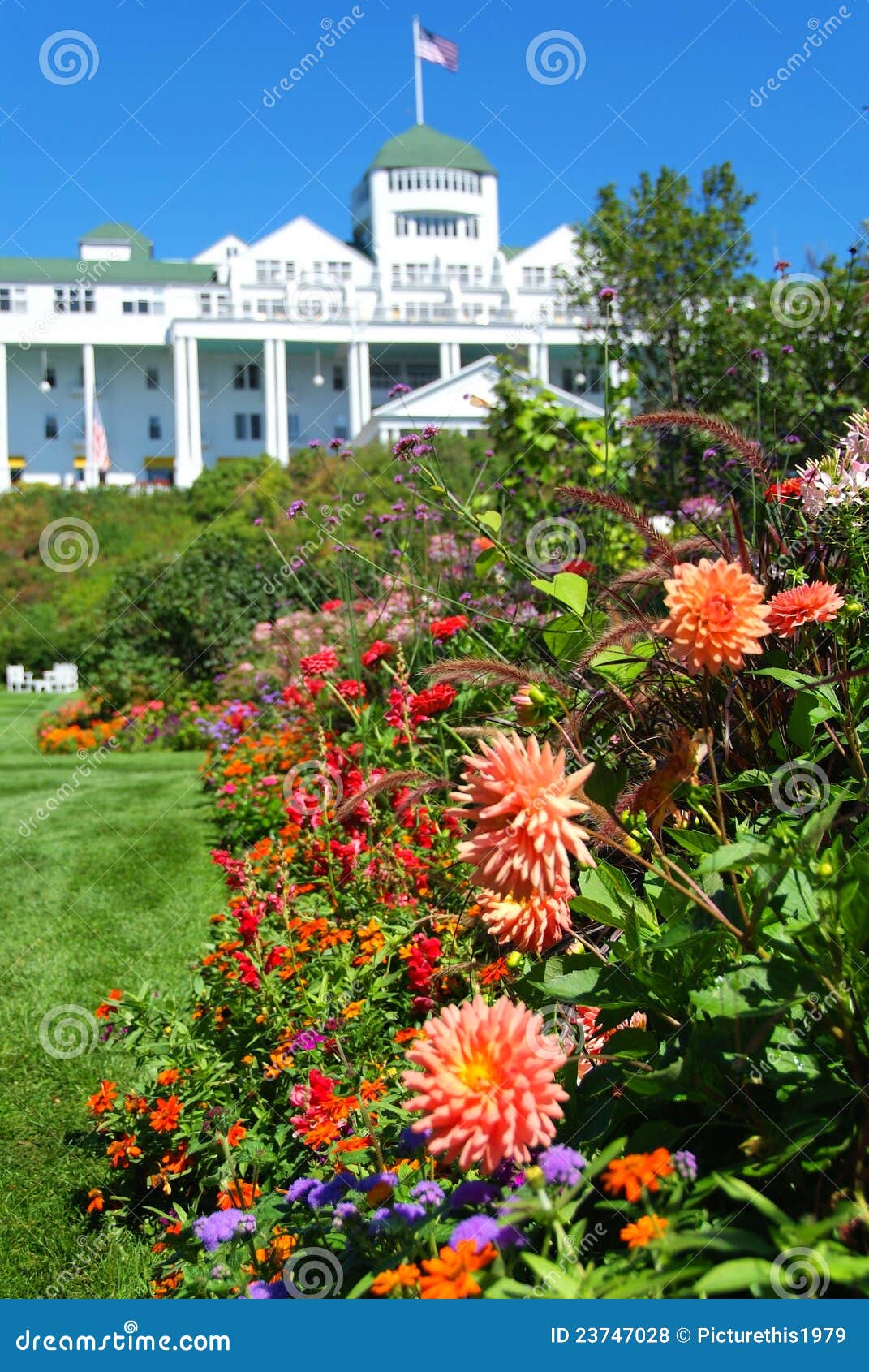 Island Flowers stock photo. Image of trees, grass, mackinac 23747028