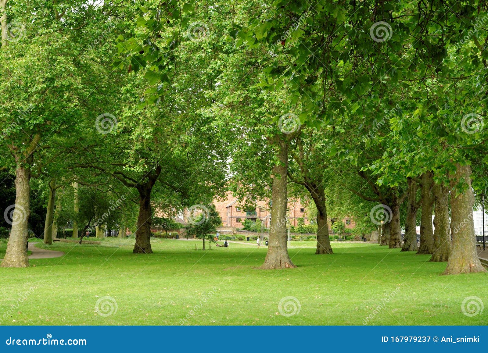 Island Gardens Publiv Park in London, England Stock Image - Image of ...