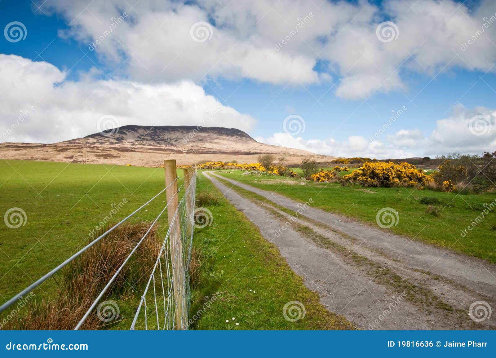 Islay road stock photo. Image of rural, britain, united 19816636