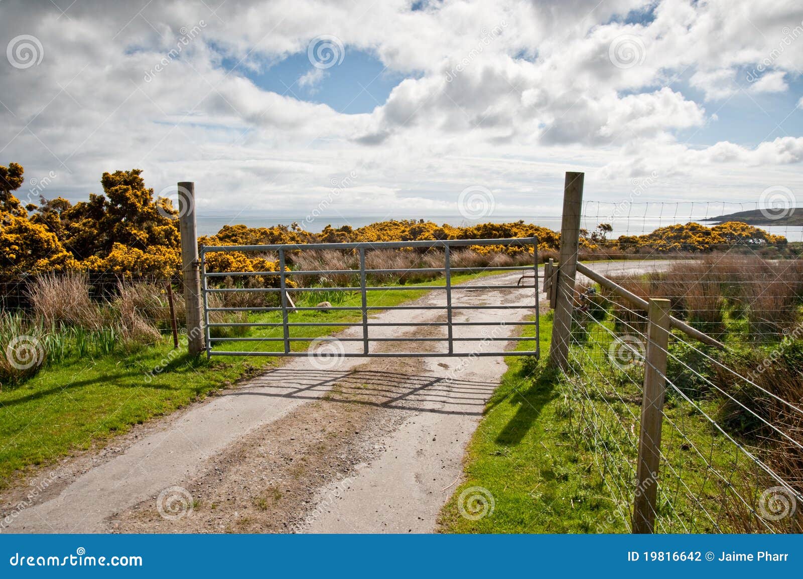Islay road stock photo. Image of gate, hebrides, landscape 19816642