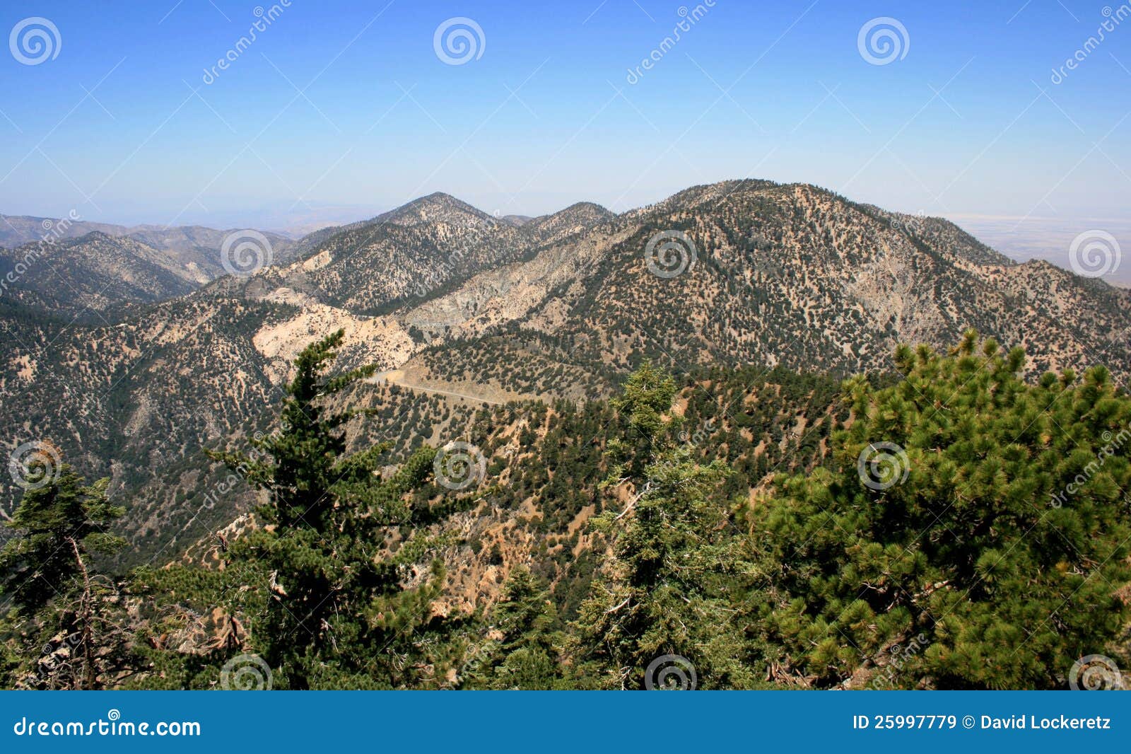 Islip Summit Panorama stock image. Image of outdoor, pines 25997779