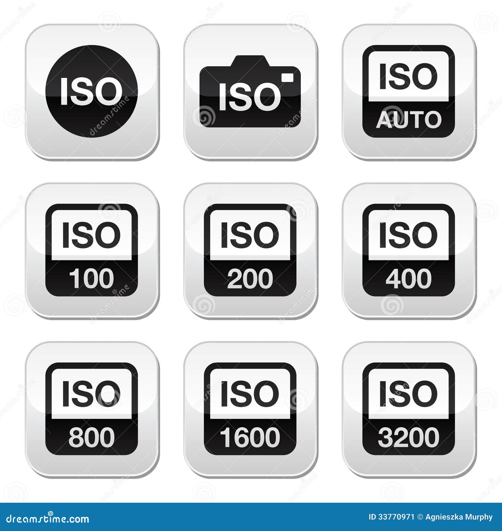 Iso Camera Film Speed Standard Buttons Set Stock Vector Illustration Of Shooting Gallery