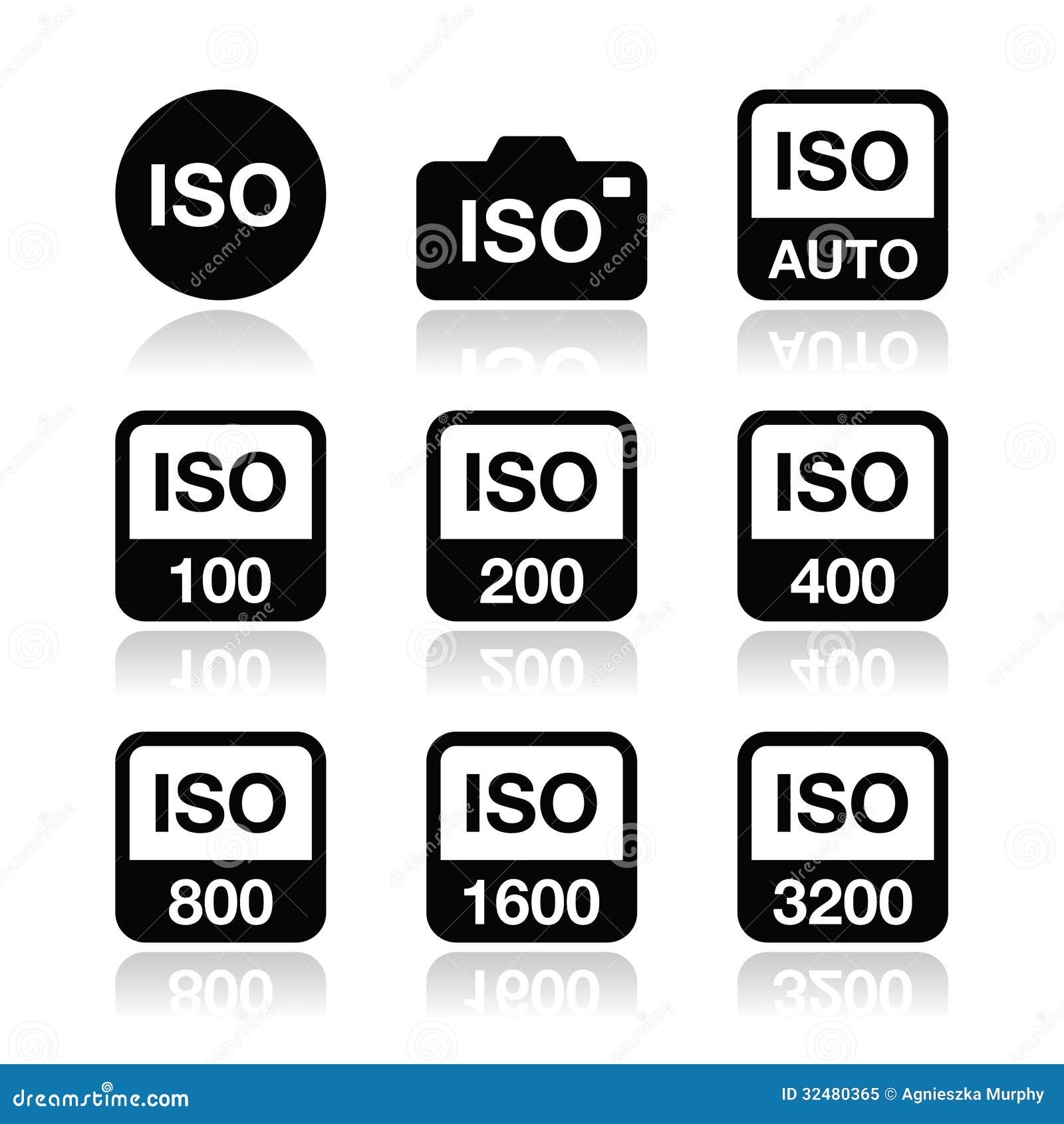 Iso Camera Film Speed Standard Icons Set Stock Illustration Illustration Of Electronics Analogue