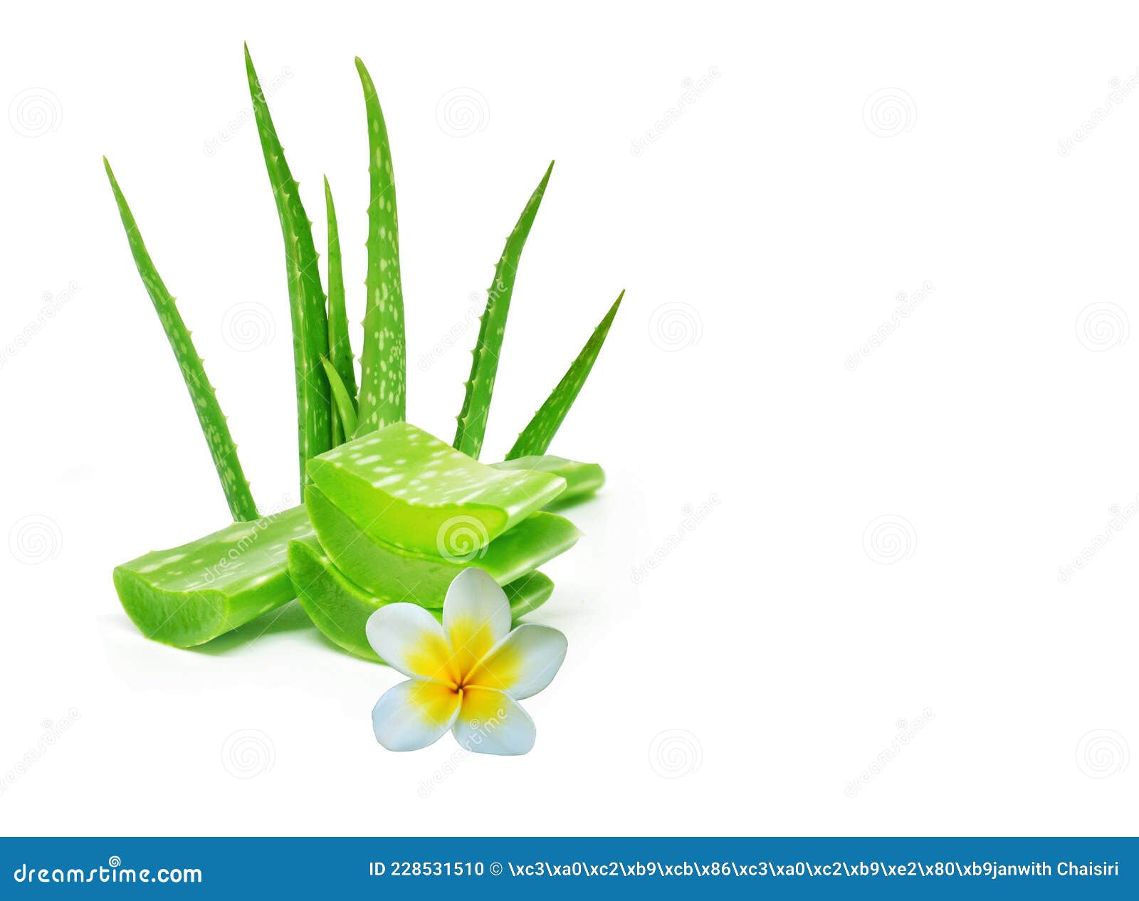 Isolated Aloe Vera Gel on a White Background is Ideal for Presentations.  Stock Photo - Image of aloe, isolated: 228531510
