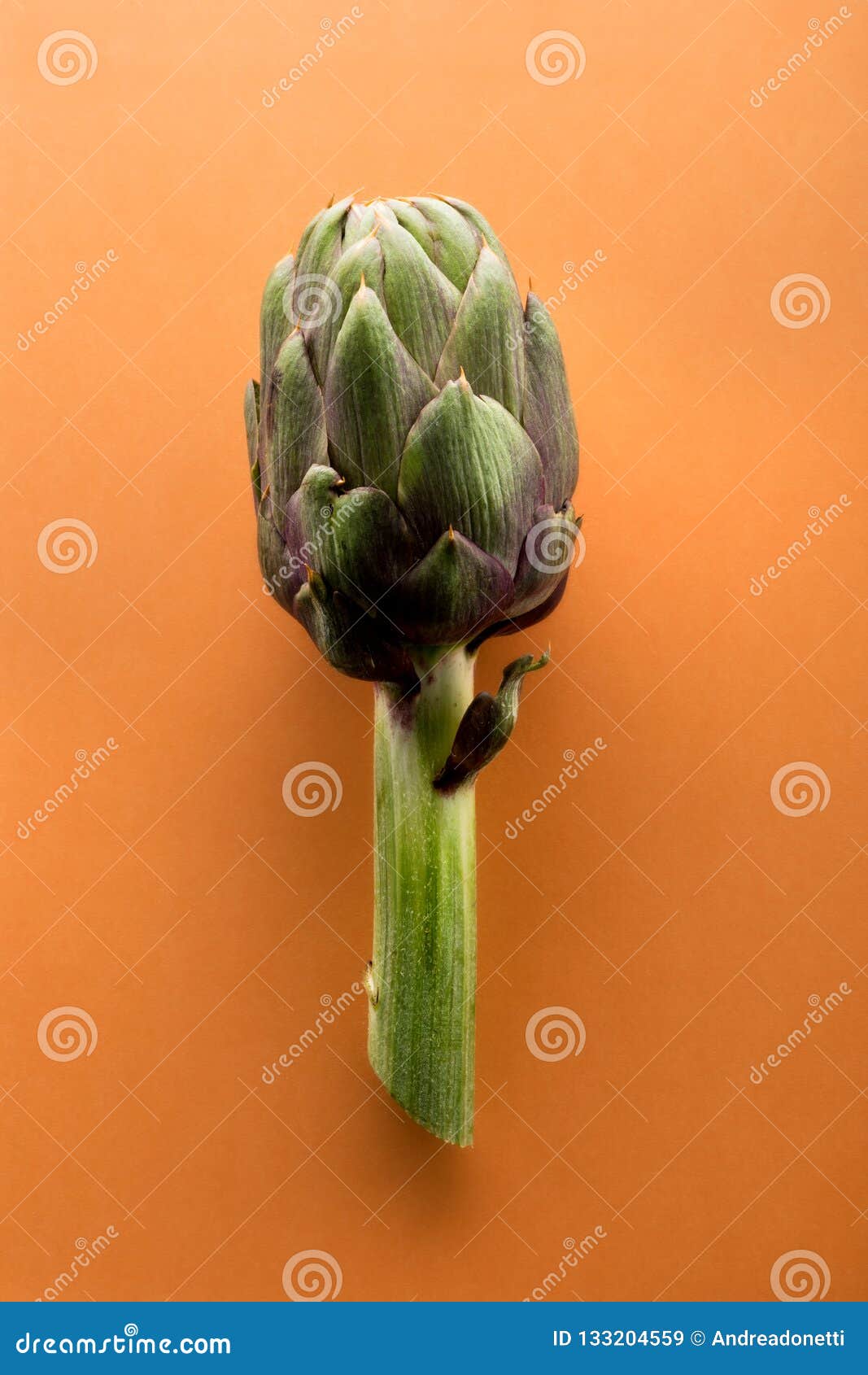 Isolated Artichoke Over Orange Background Stock Image Image of colors