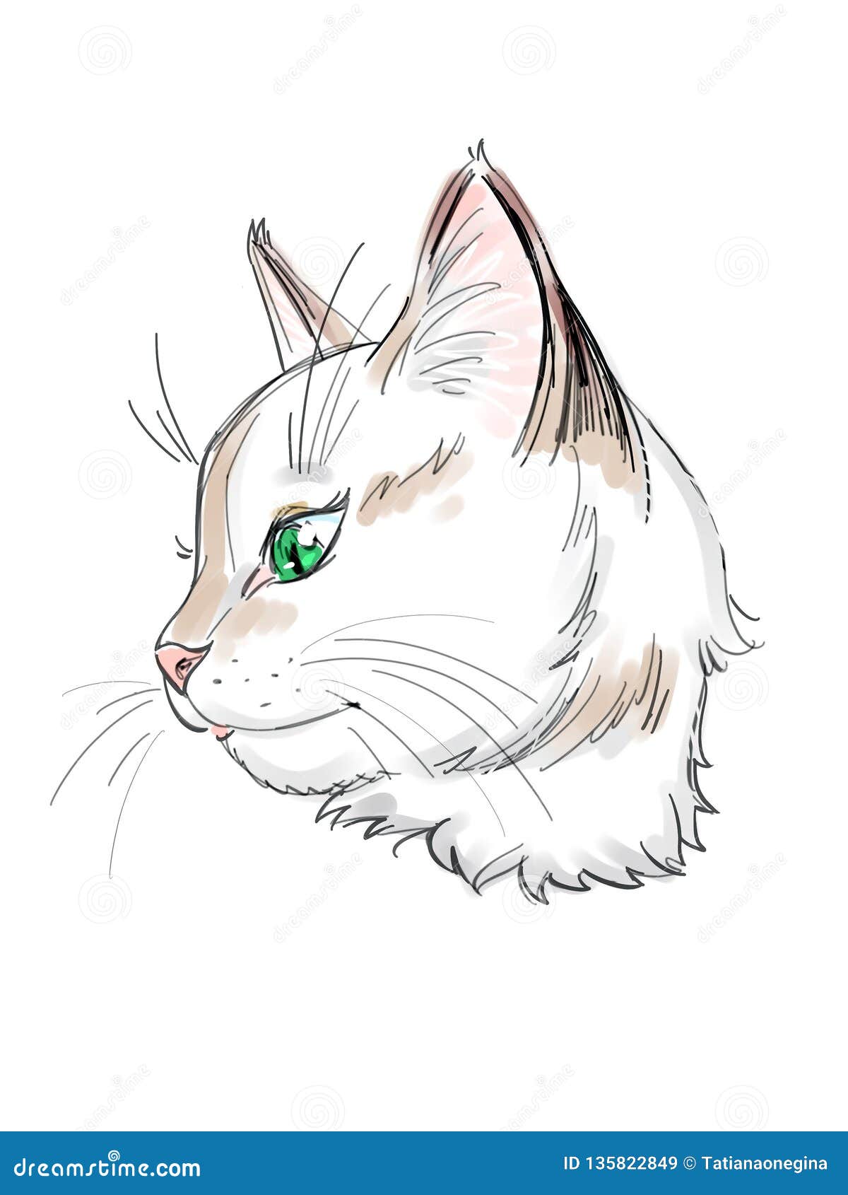 Cute Cat Profile Drawing - lyudmilasad