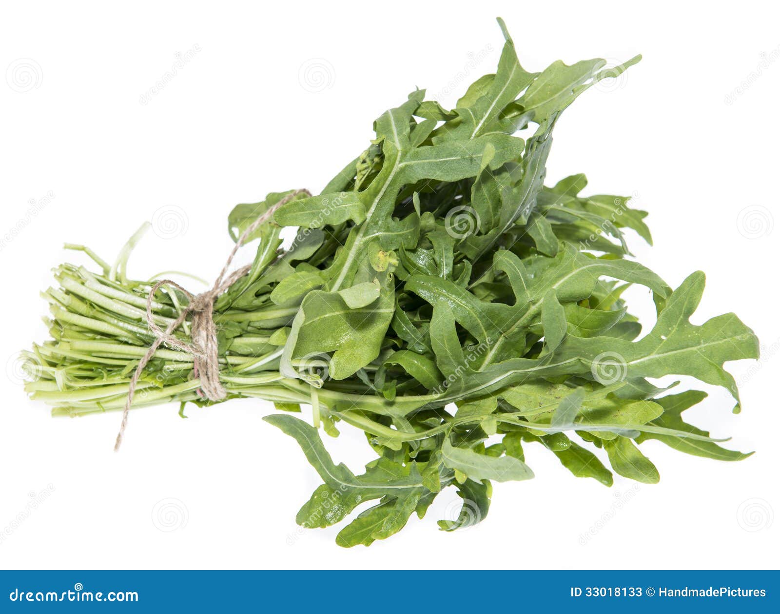  arugula