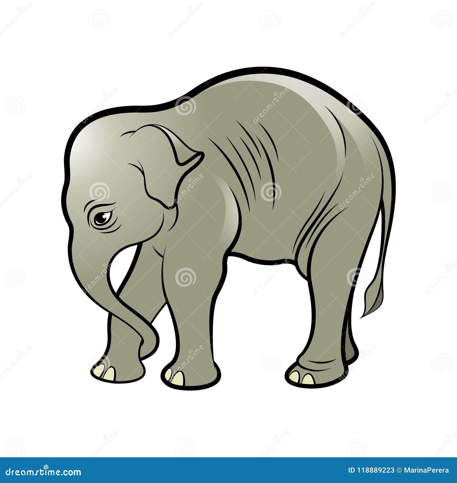 Isolated Baby Elephant In Color Stock Vector Illustration Of
