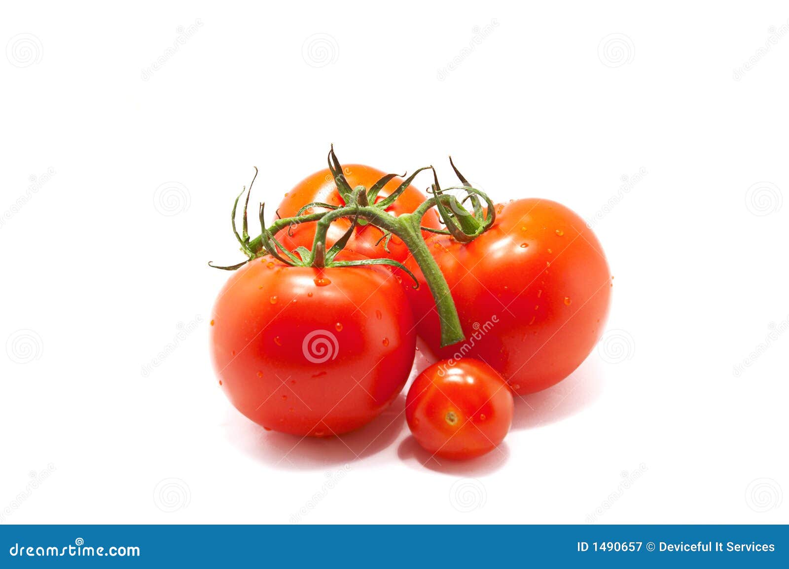 Isolated Baby Tomatoes stock image. Image of veggies, plum 1490657